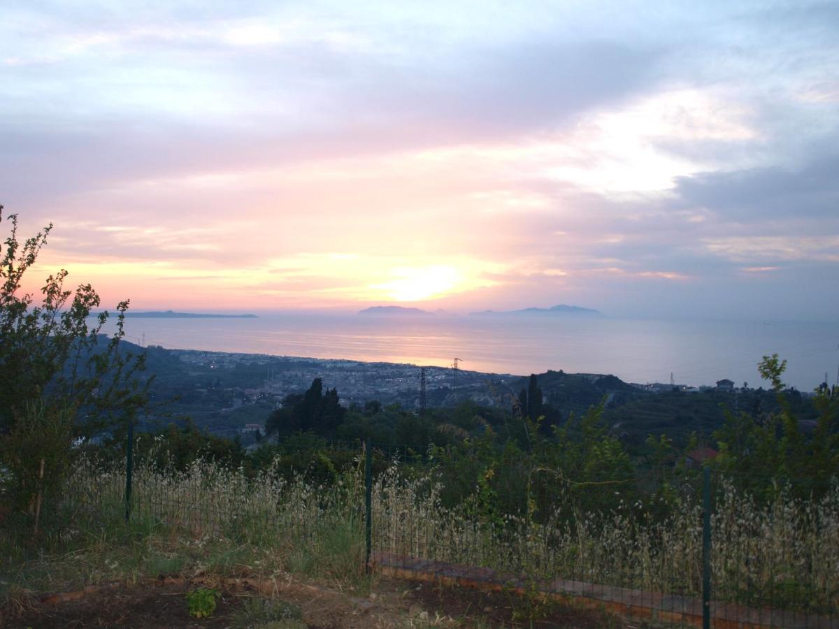Villa Serro photo 5
