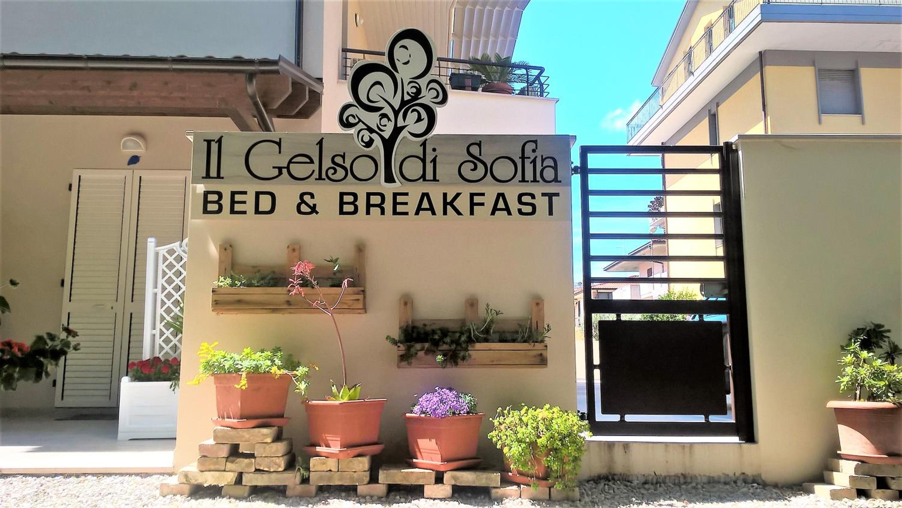 Il Gelso di Sofia B&B, photo 32