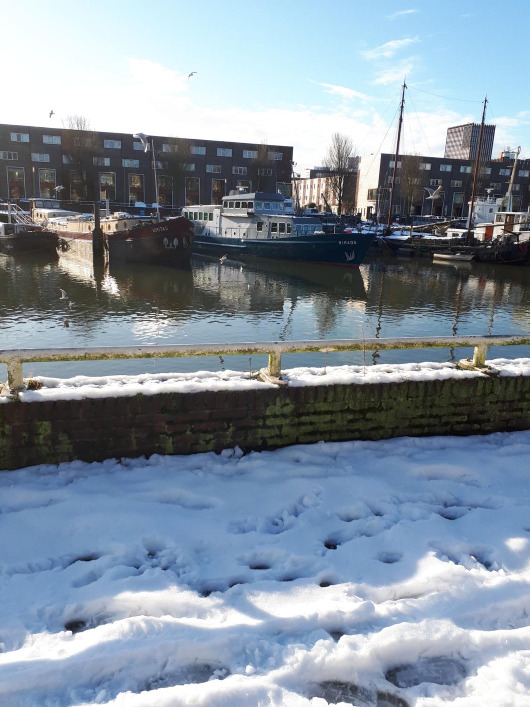 B&B Unitas Rotterdam view 3