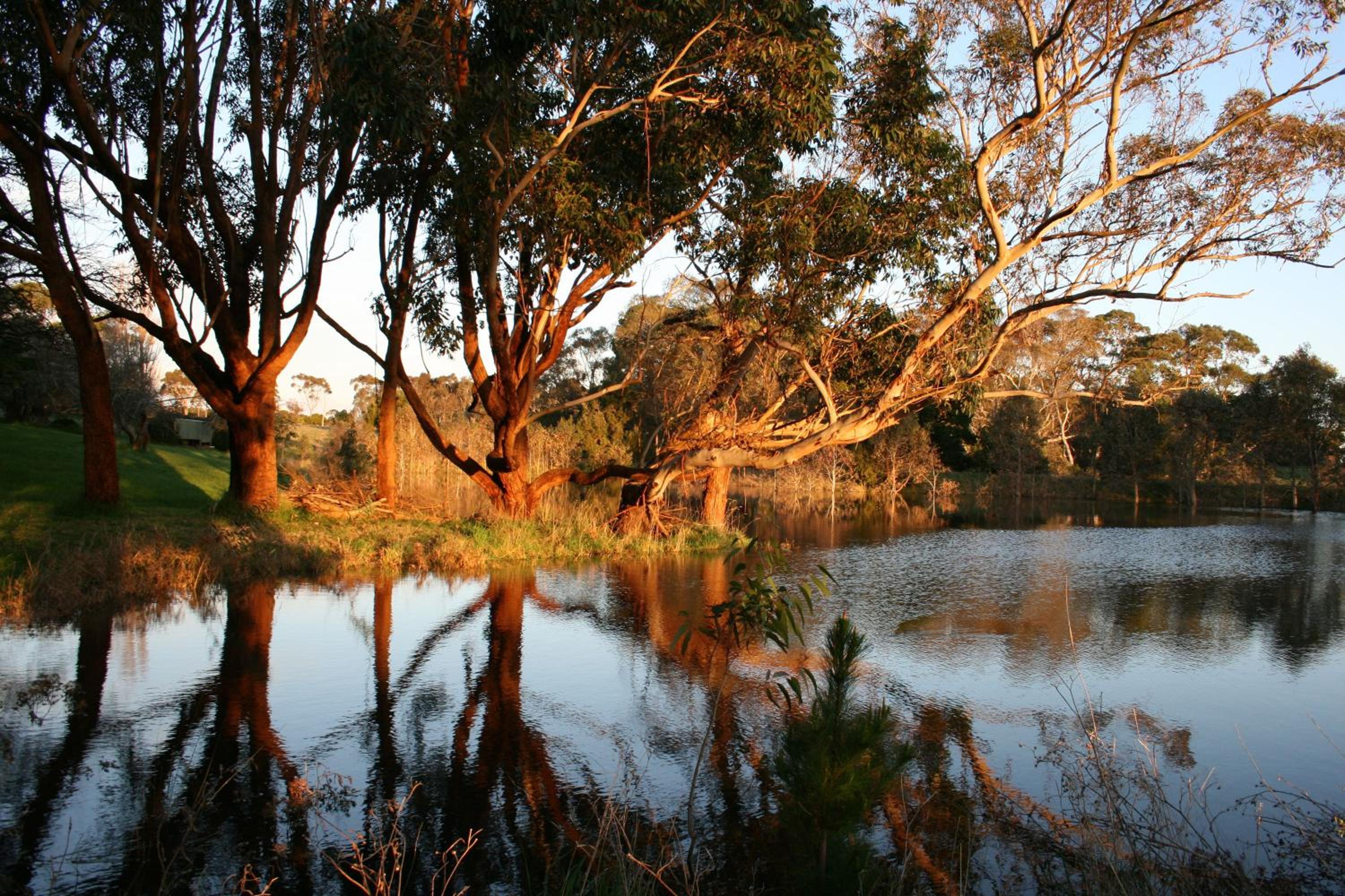 Quamby Homestead