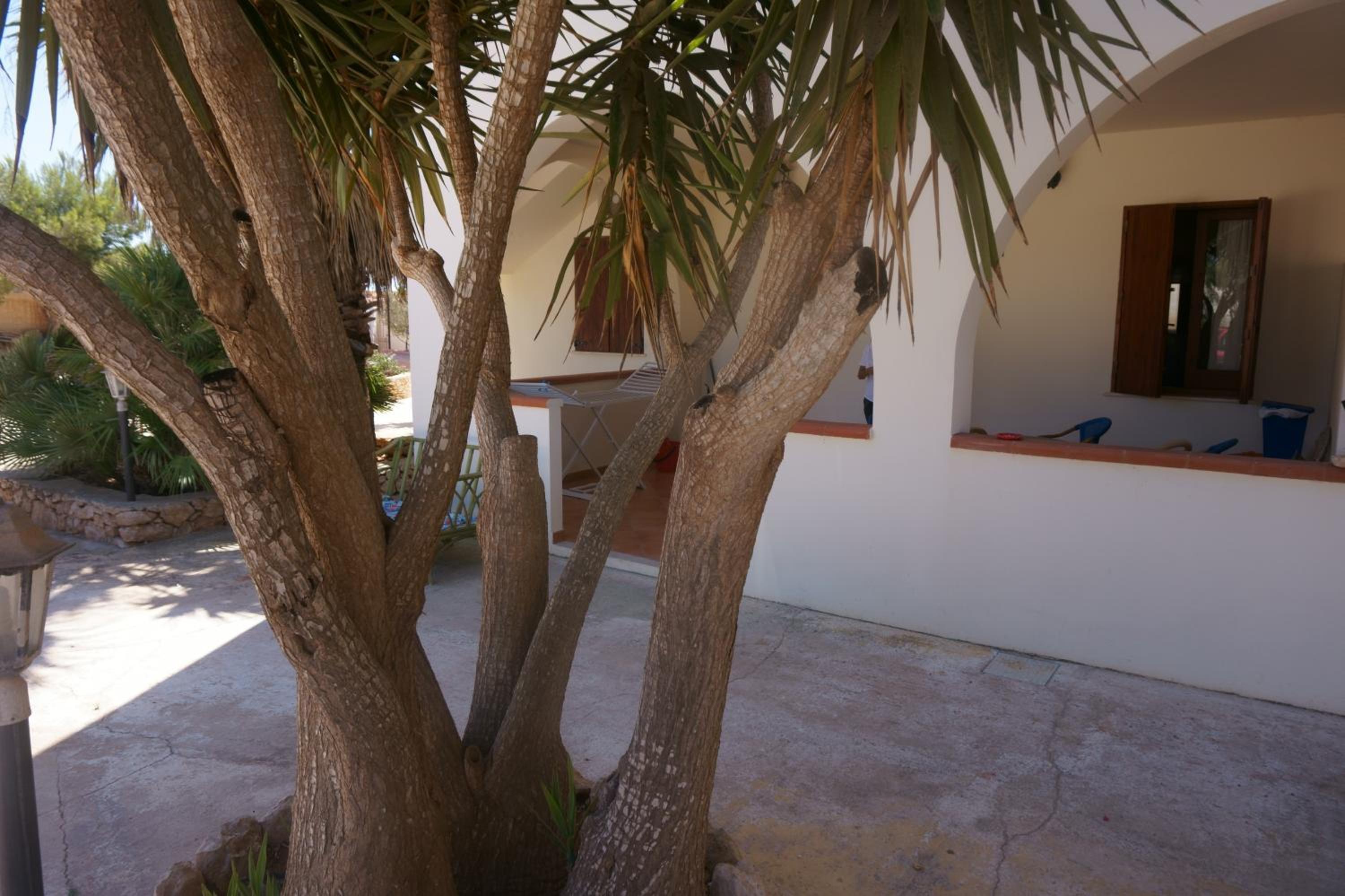 Outdoor Space