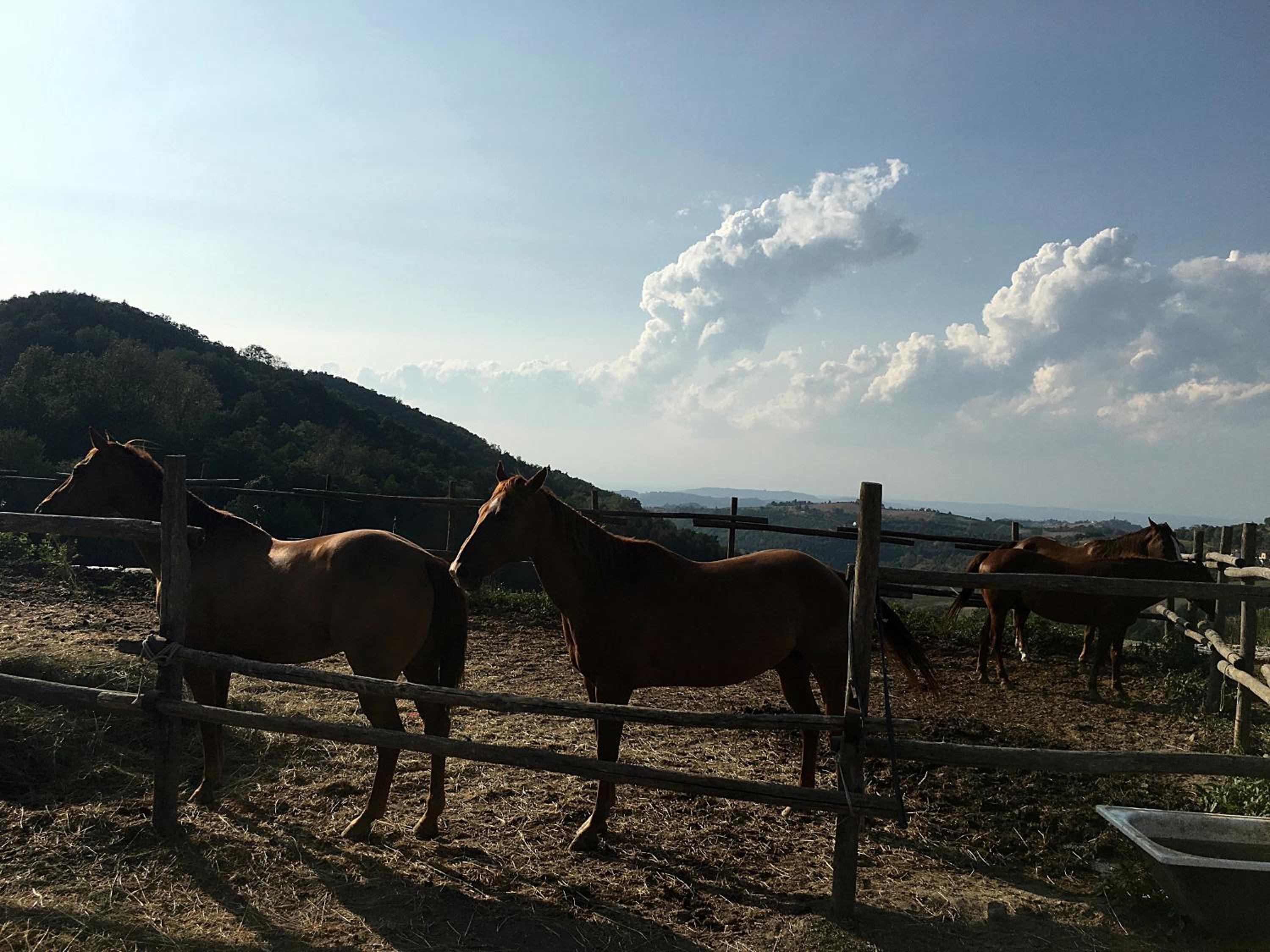 Maison Demetrio - Family Farm photo 4