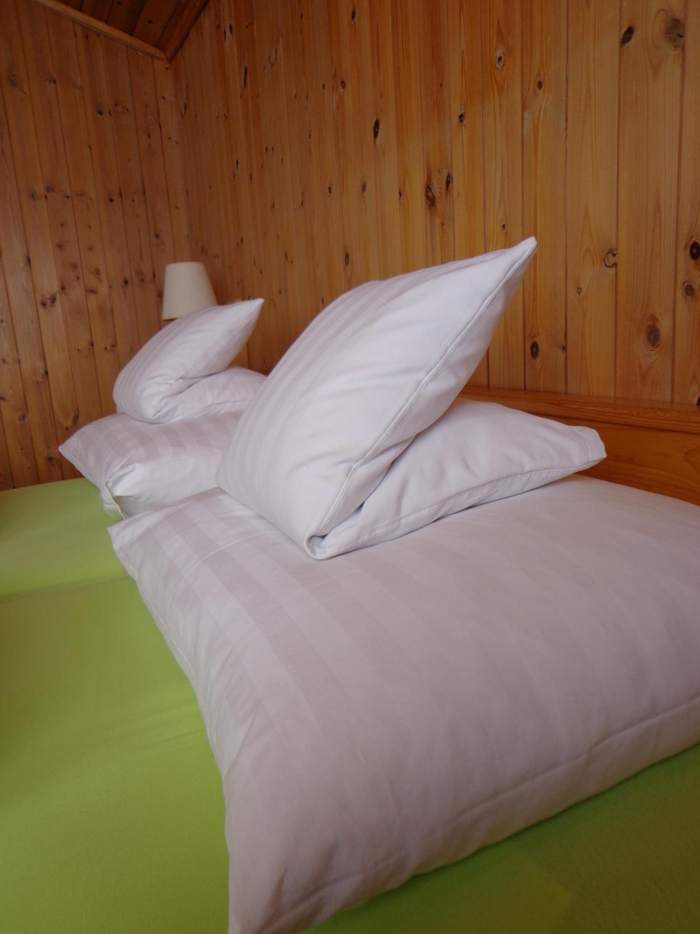 Gasthof Surselva