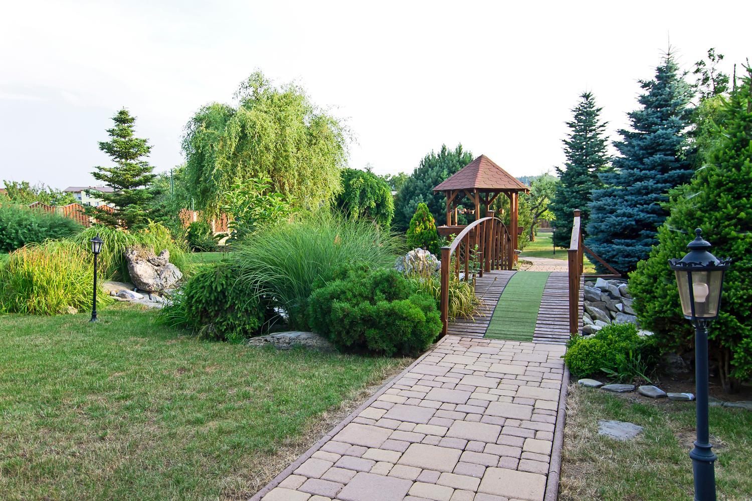 Photo 8