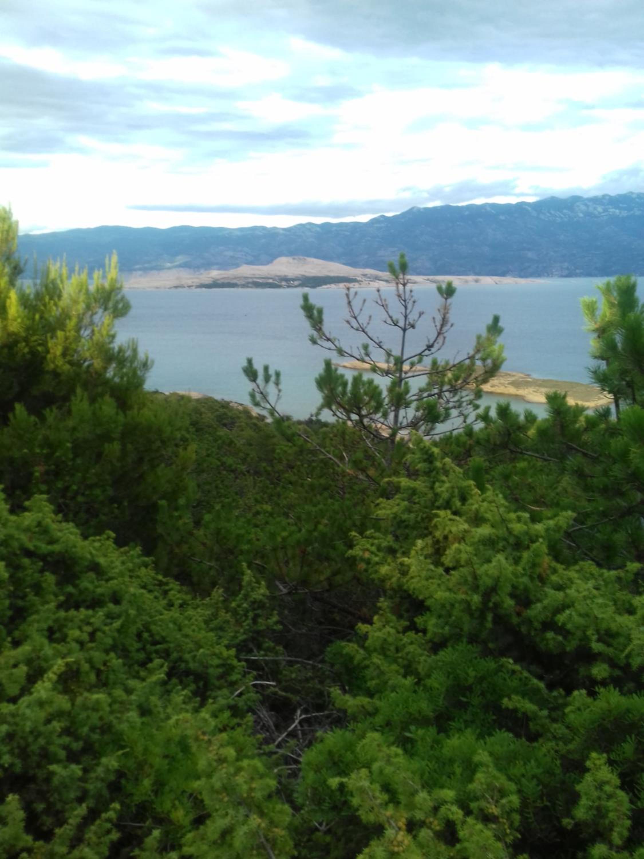 Photo 201