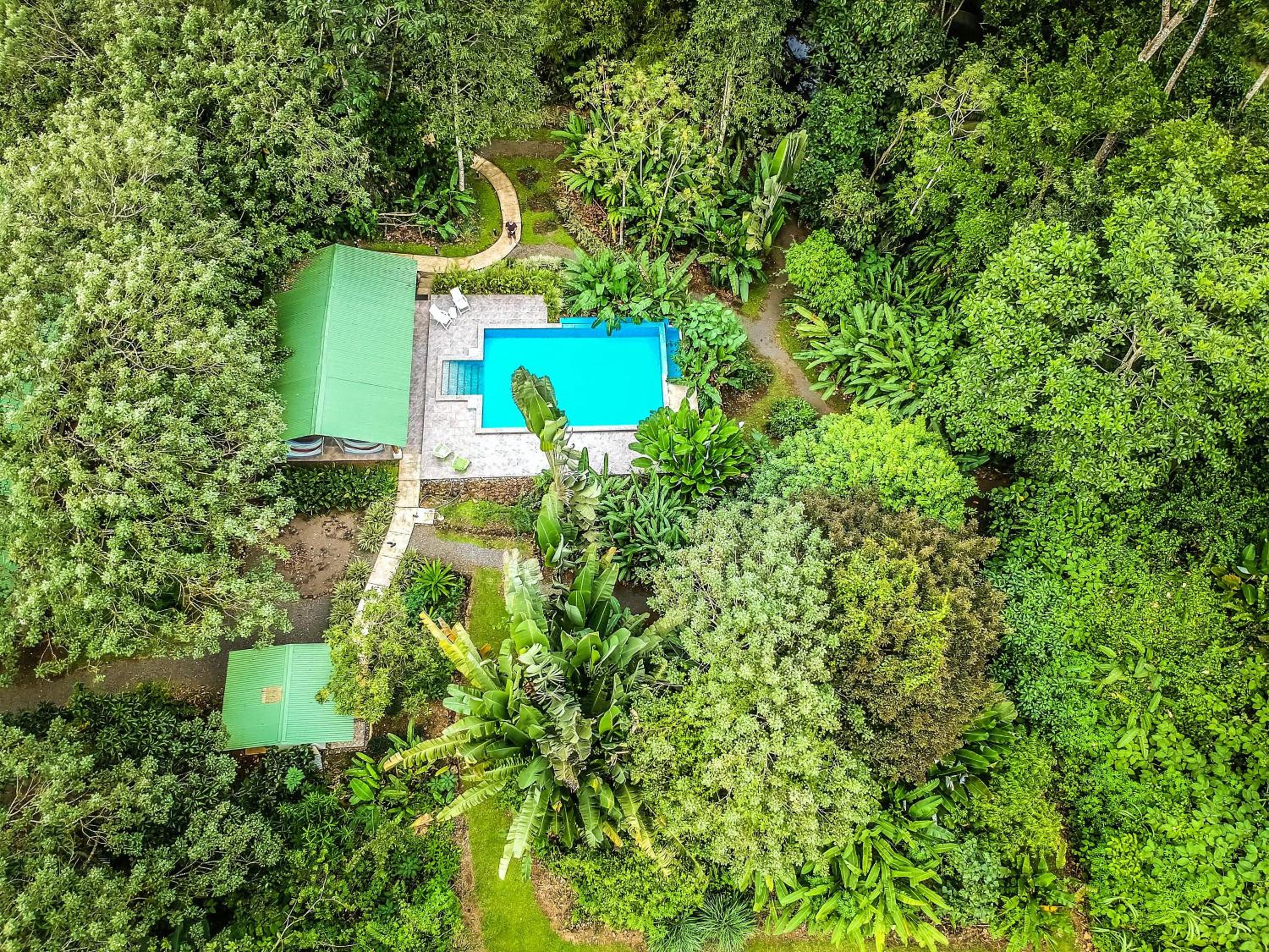 Tropical Paradise Bungalows