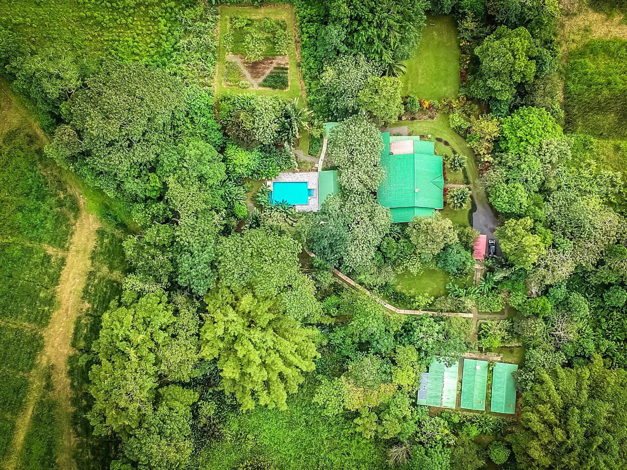 Tropical Paradise Bungalows