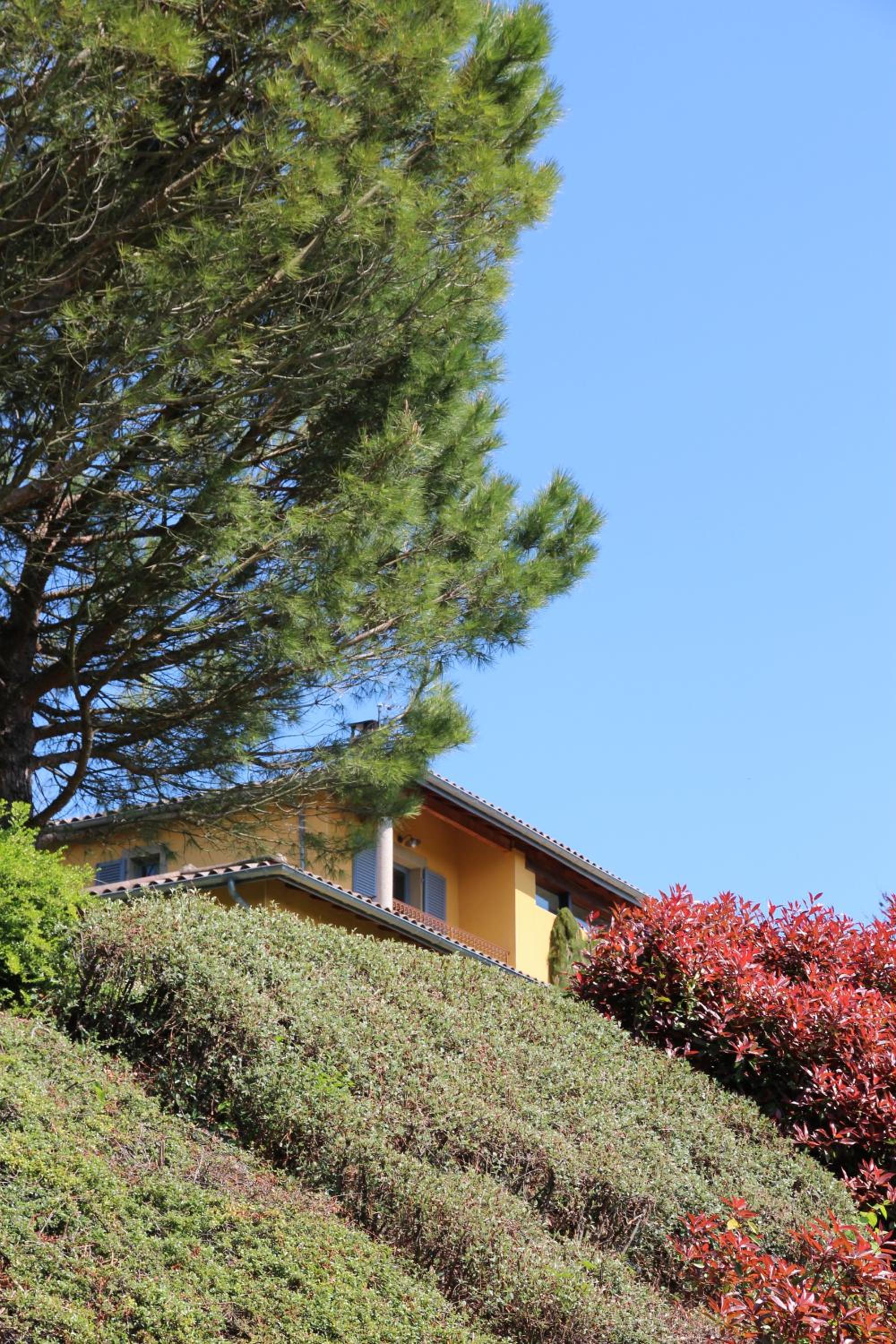 Le Vallon de Saint André, photo 9