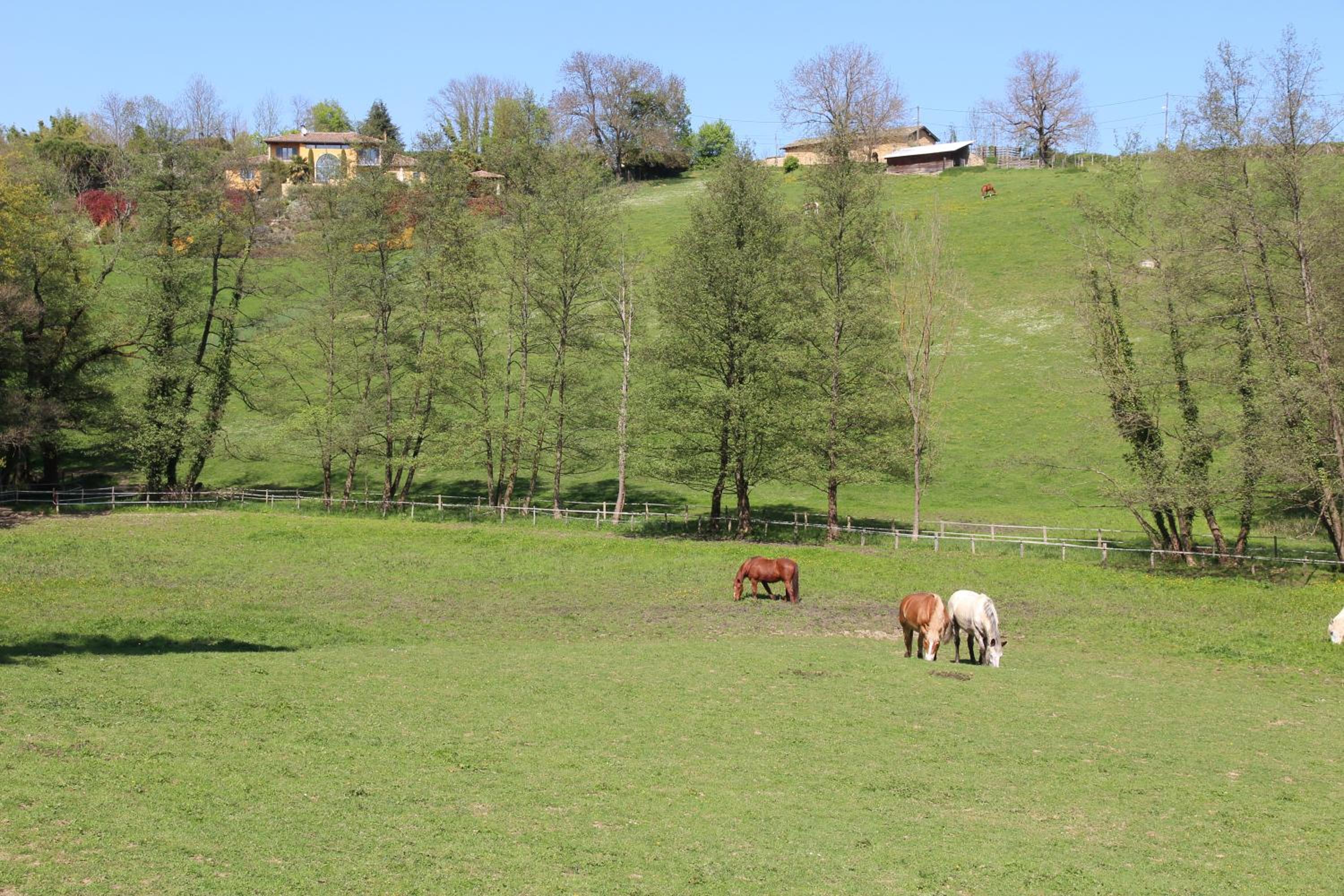 Le Vallon de Saint André, photo 29