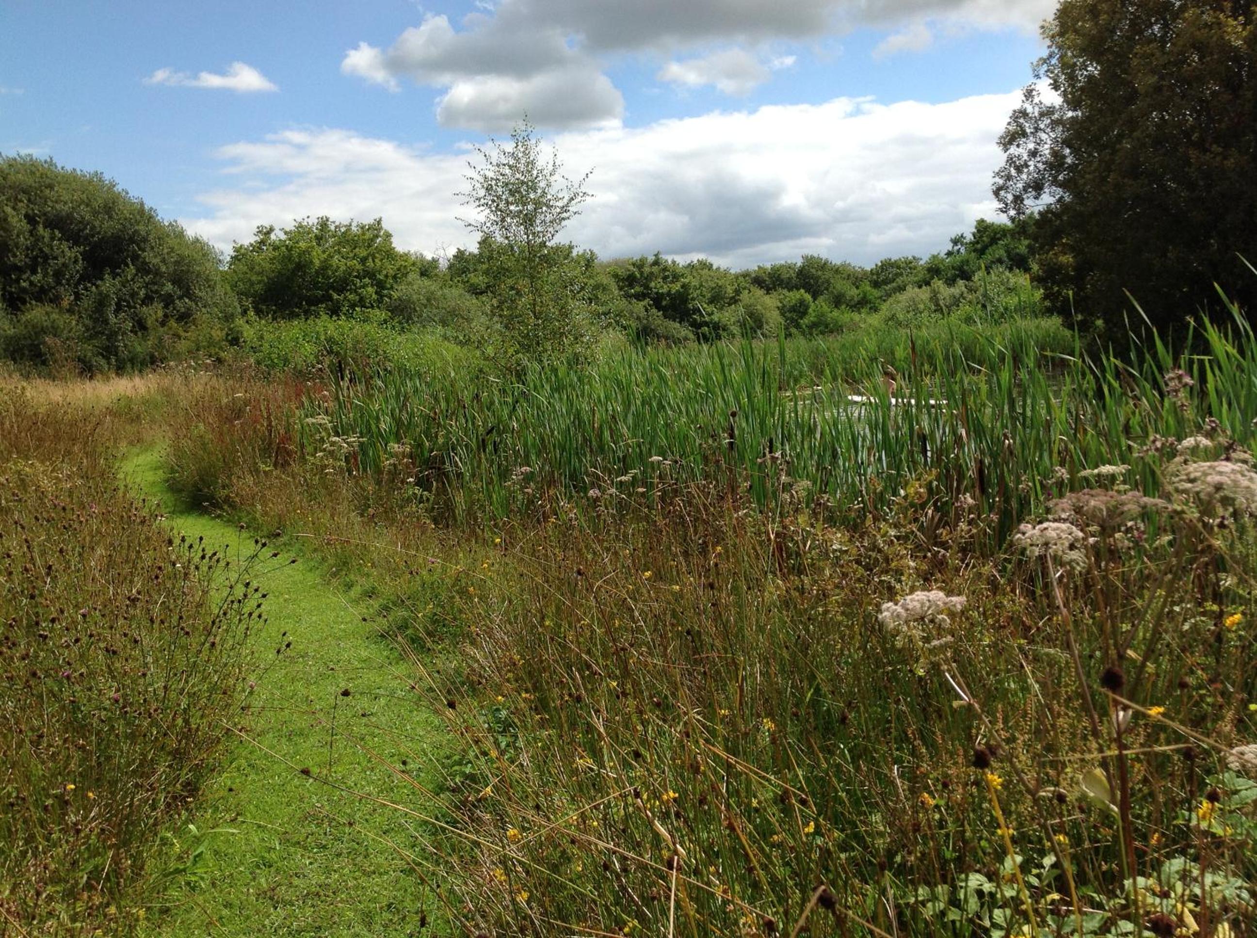 Devon Eco Lodges view 2