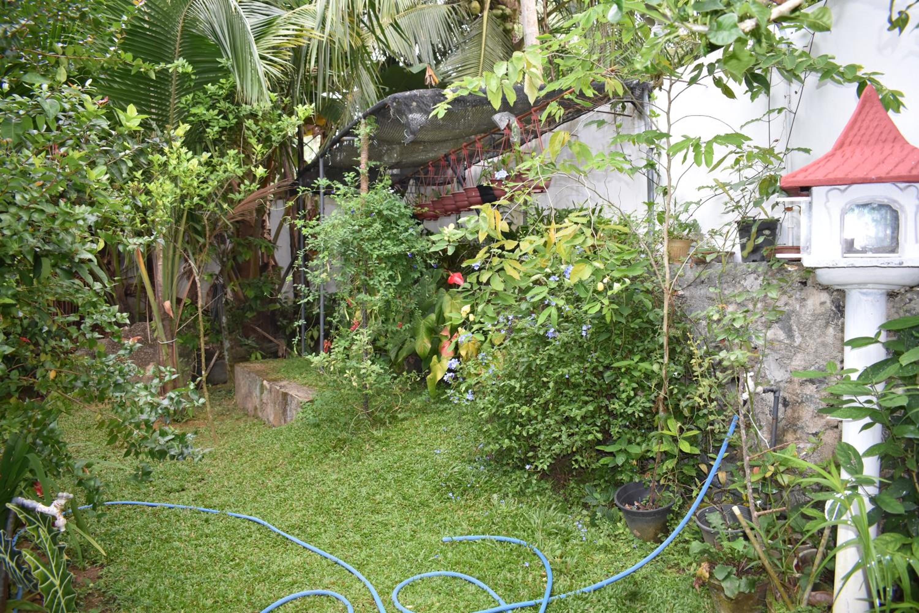 Photo 32