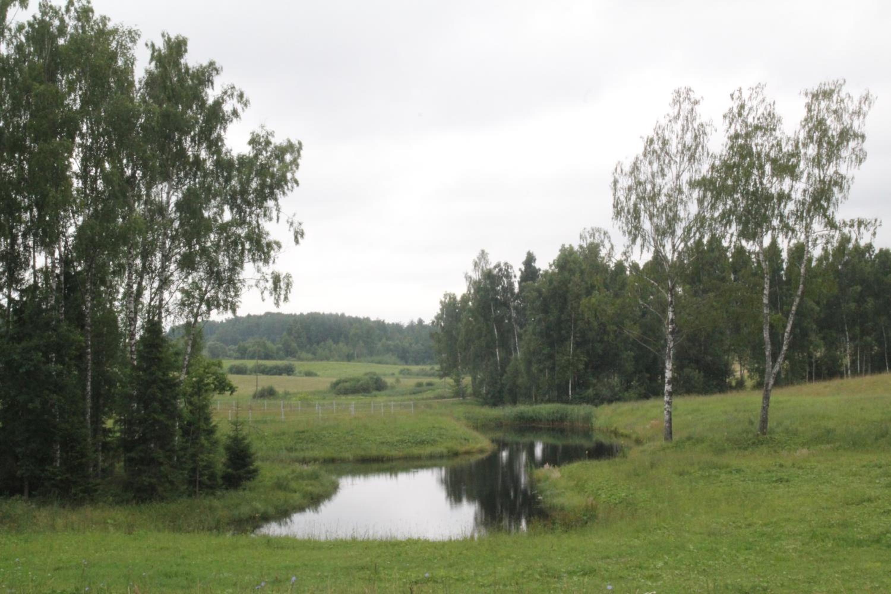 Photo 36