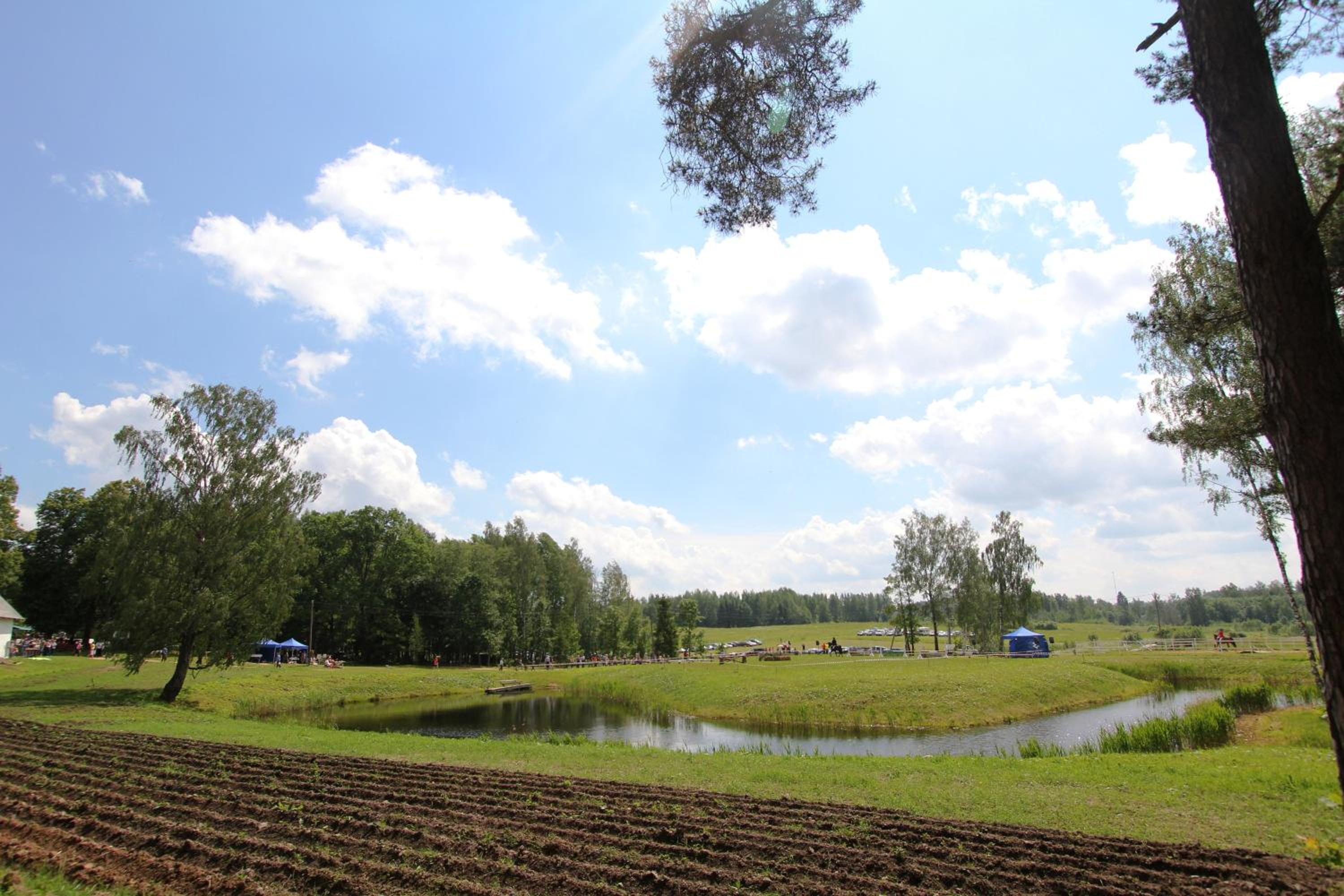 Photo 41