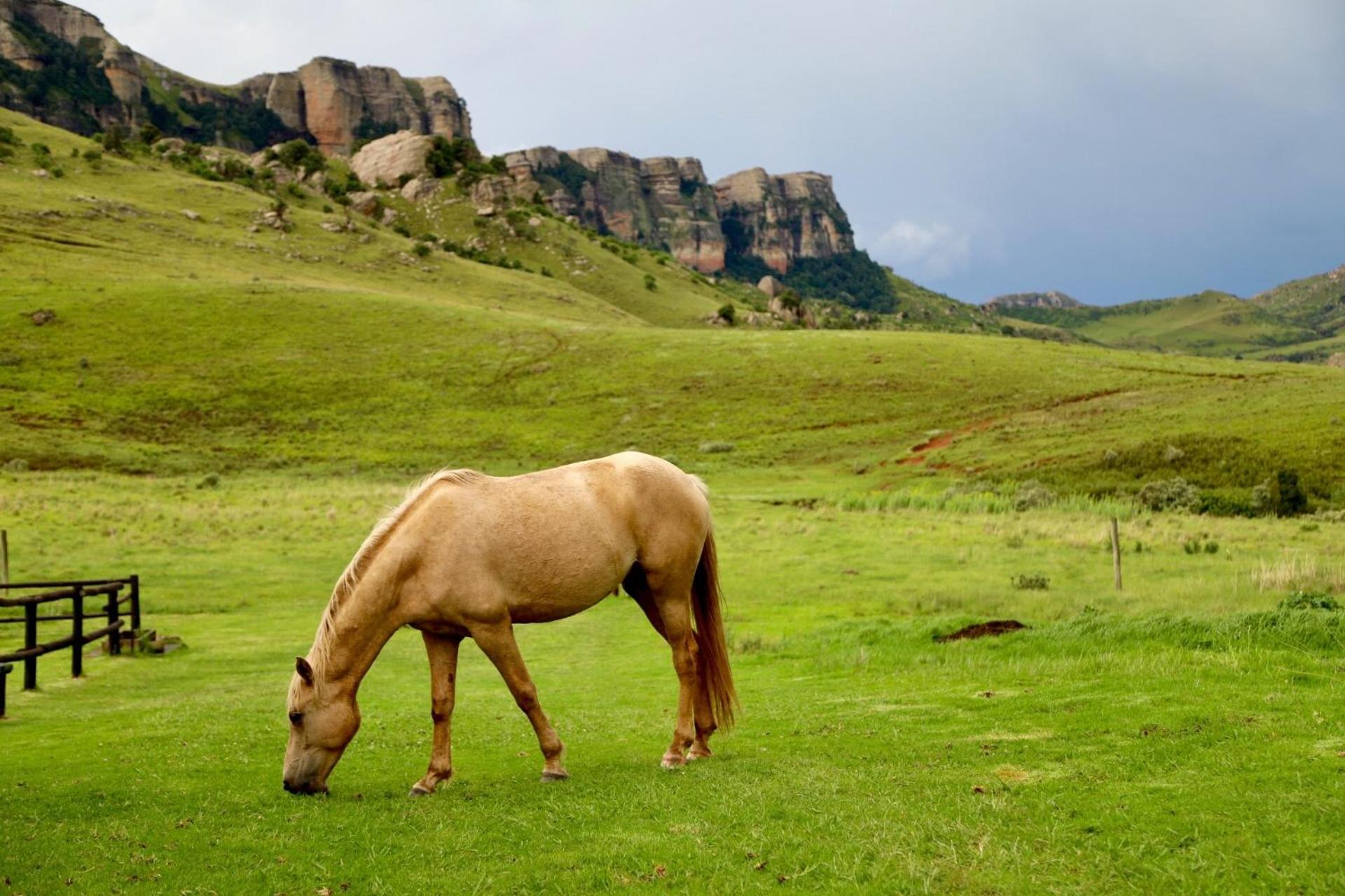 Greenfire Drakensberg Lodge