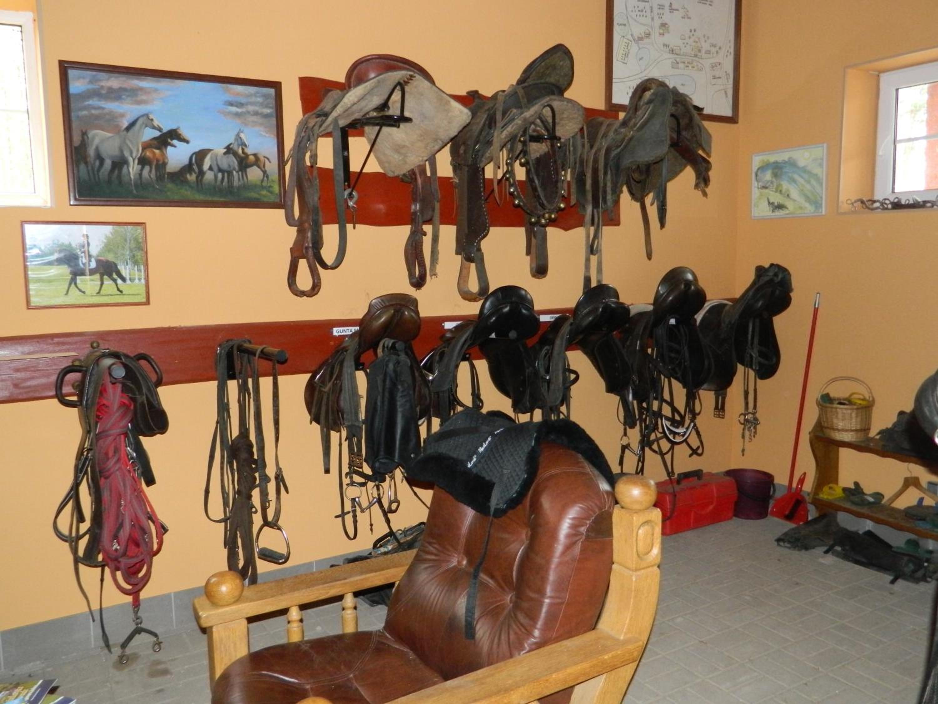 Photo 45