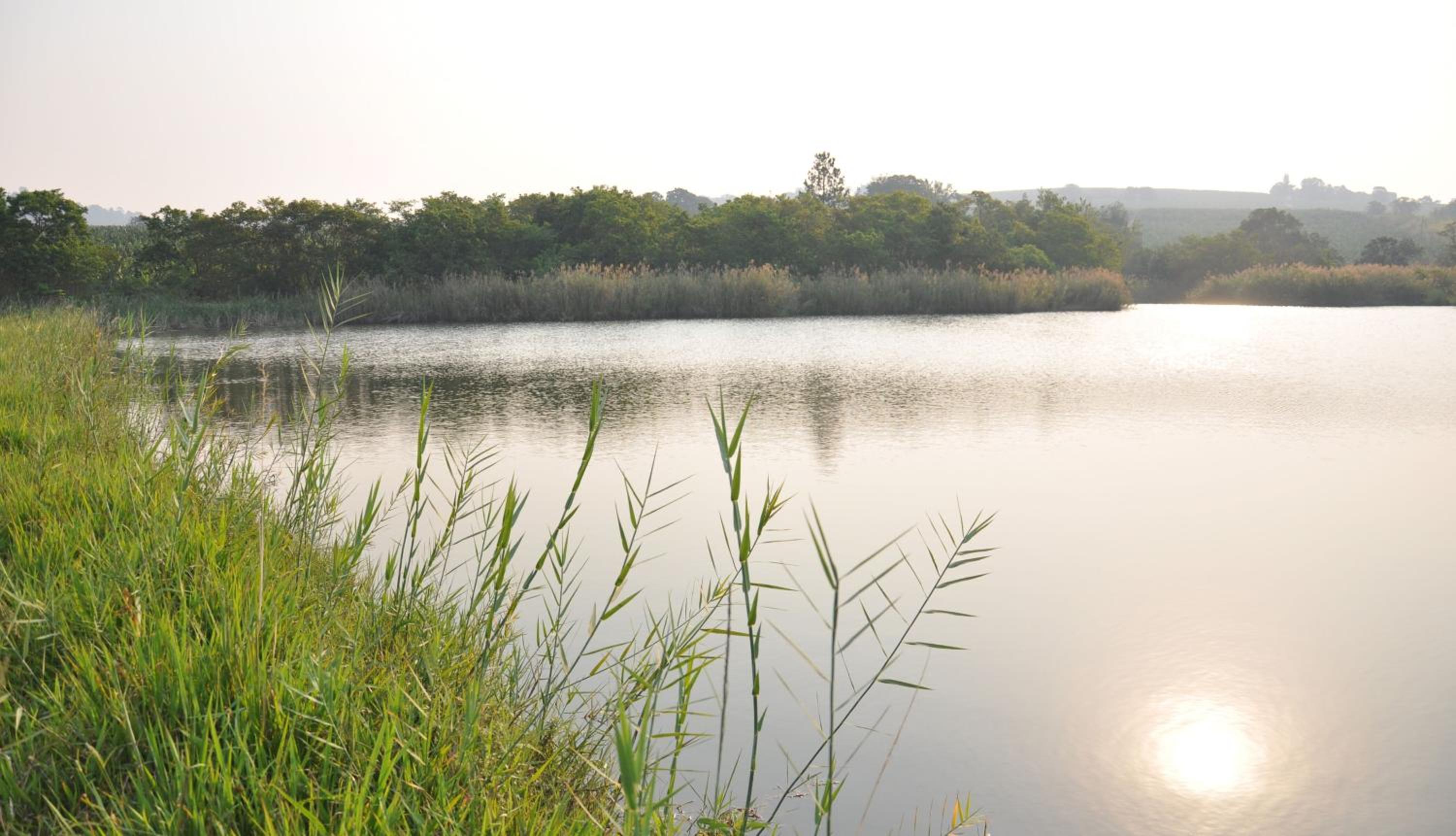 Hazyview Vacations - Poinsettia family Cottage - Property Image 62