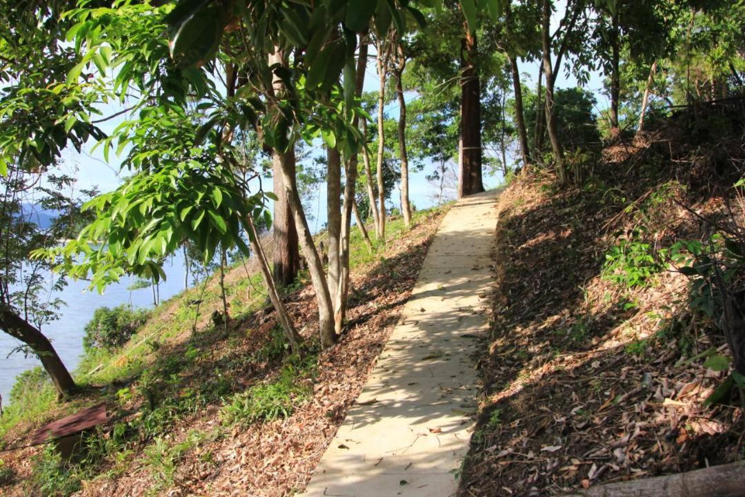 Photo 42