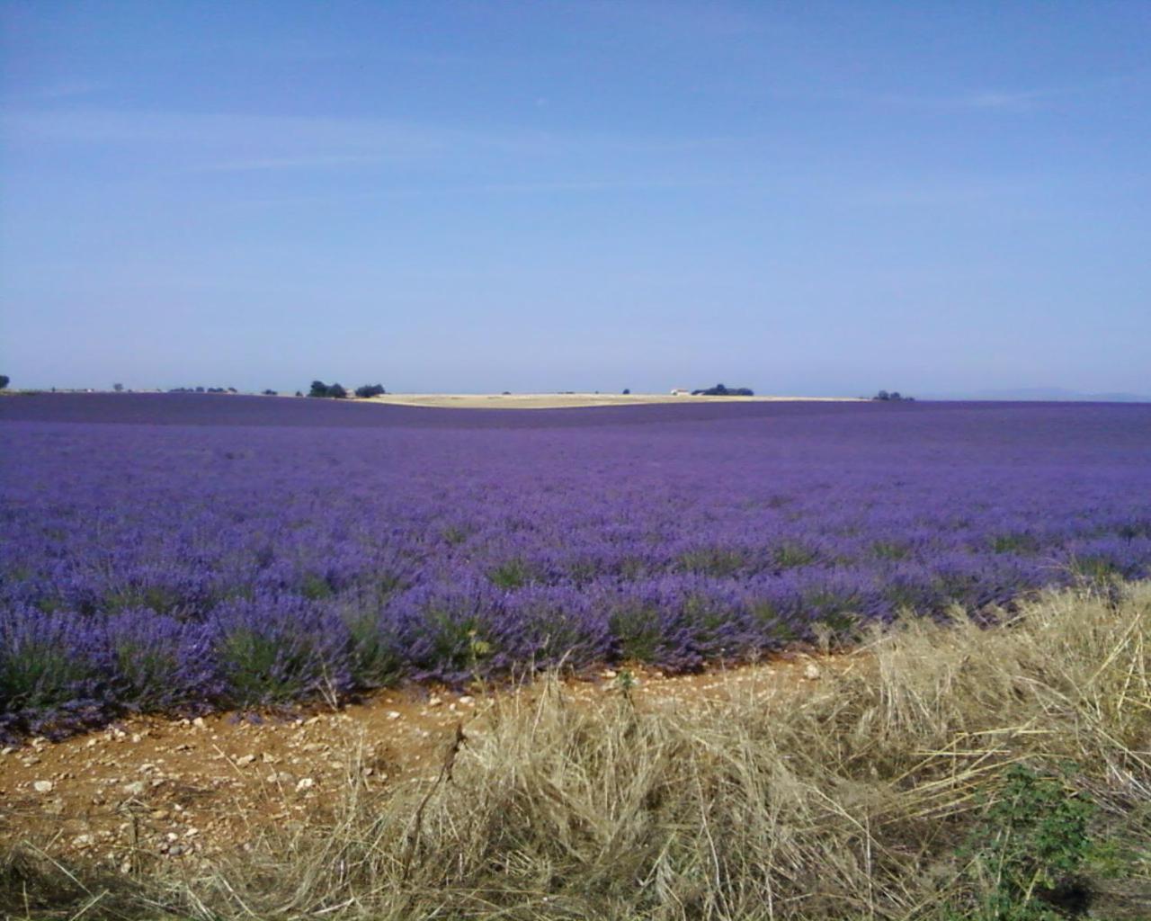 Le Petit Fabre