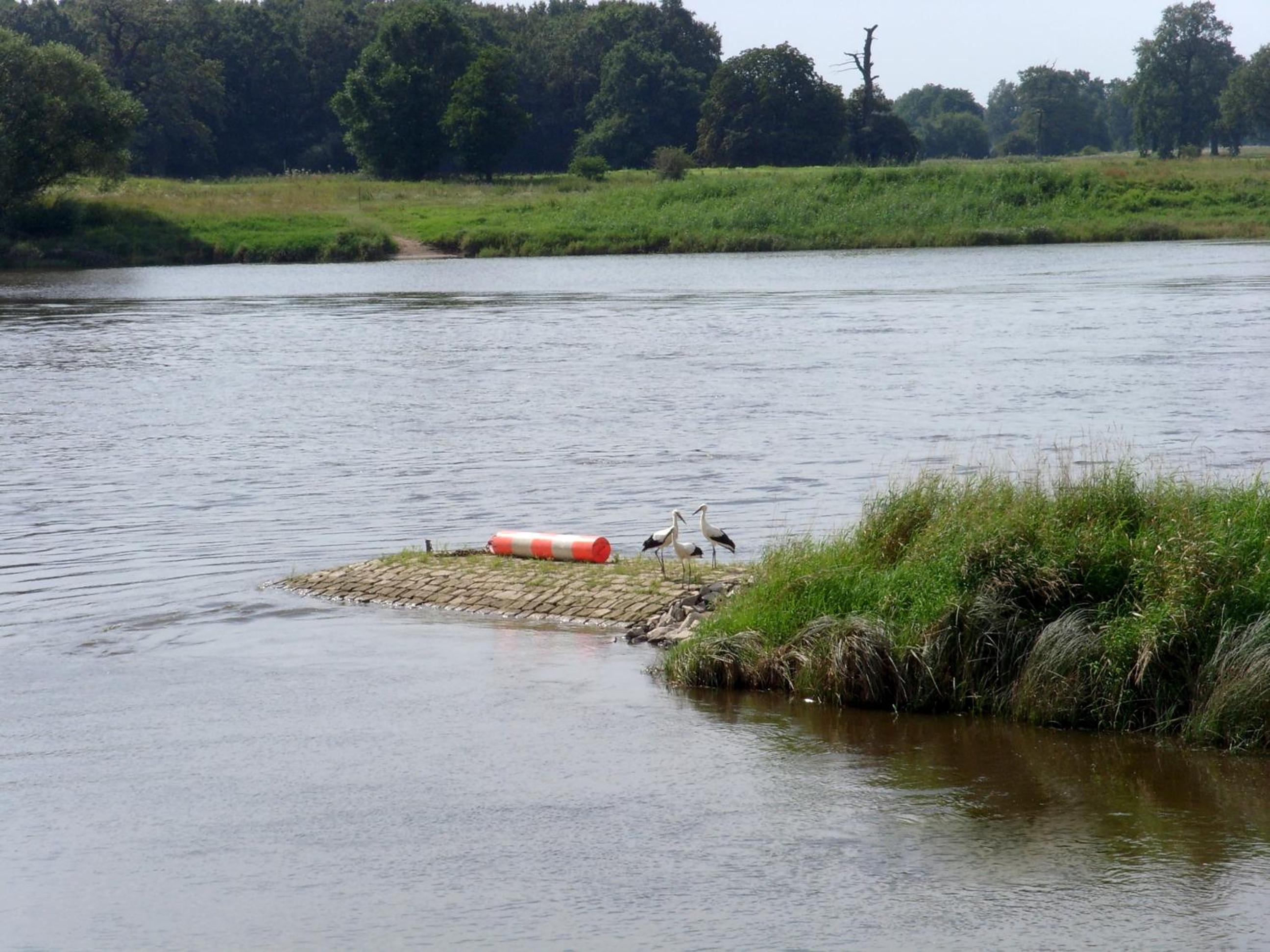 Elbterrassen zu Brambach