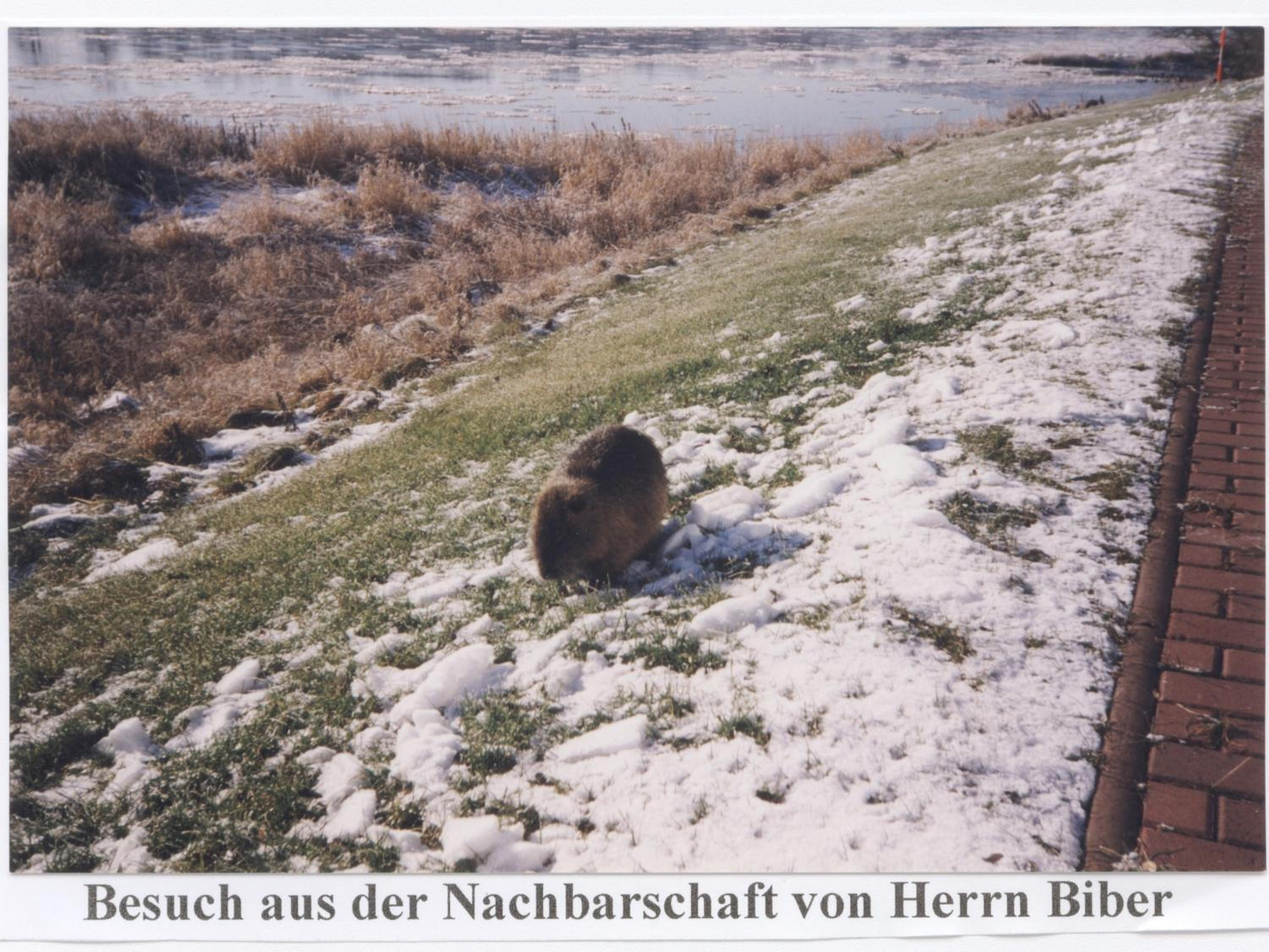 Elbterrassen zu Brambach