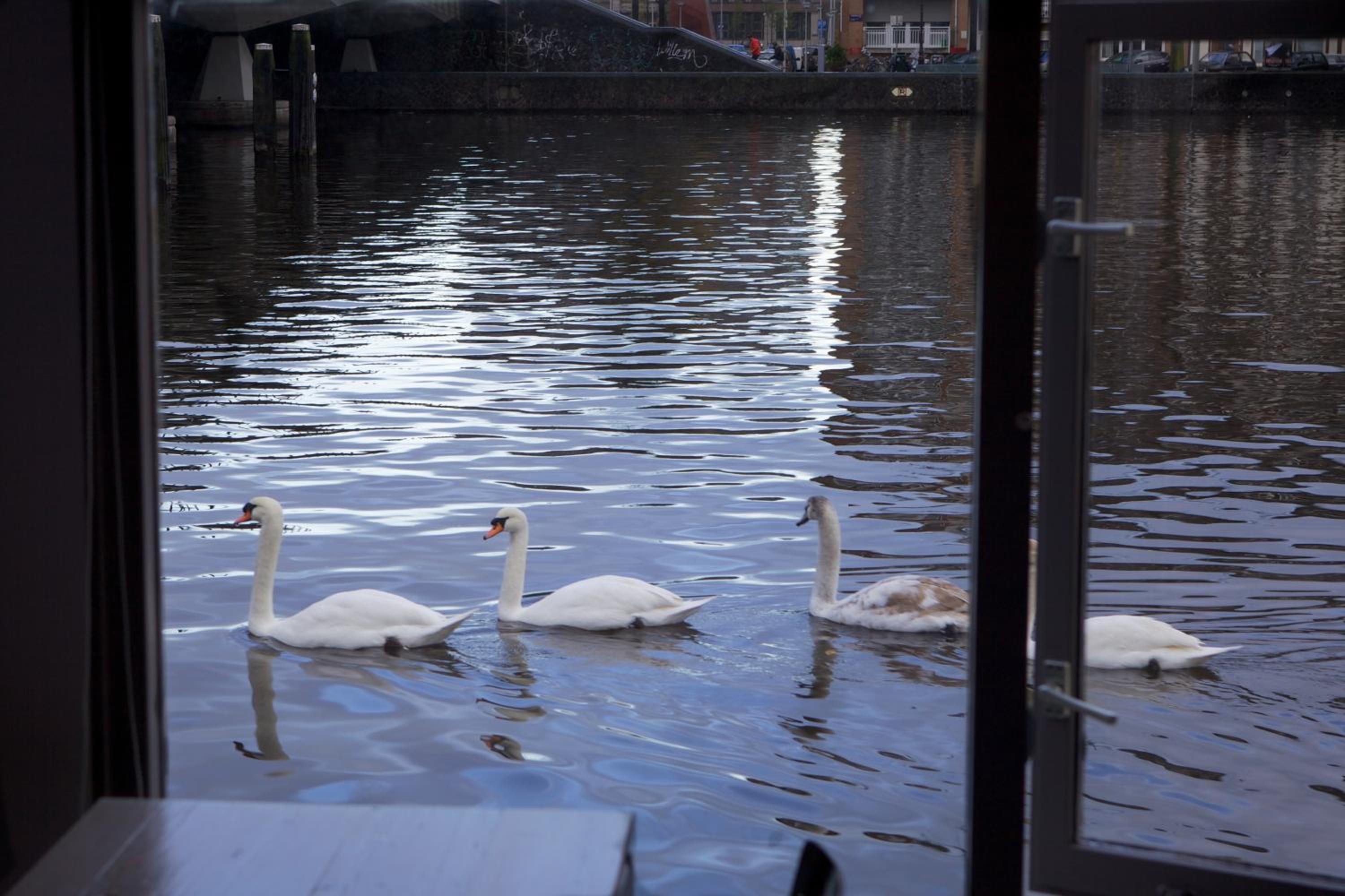 Houseboat Little Amstel