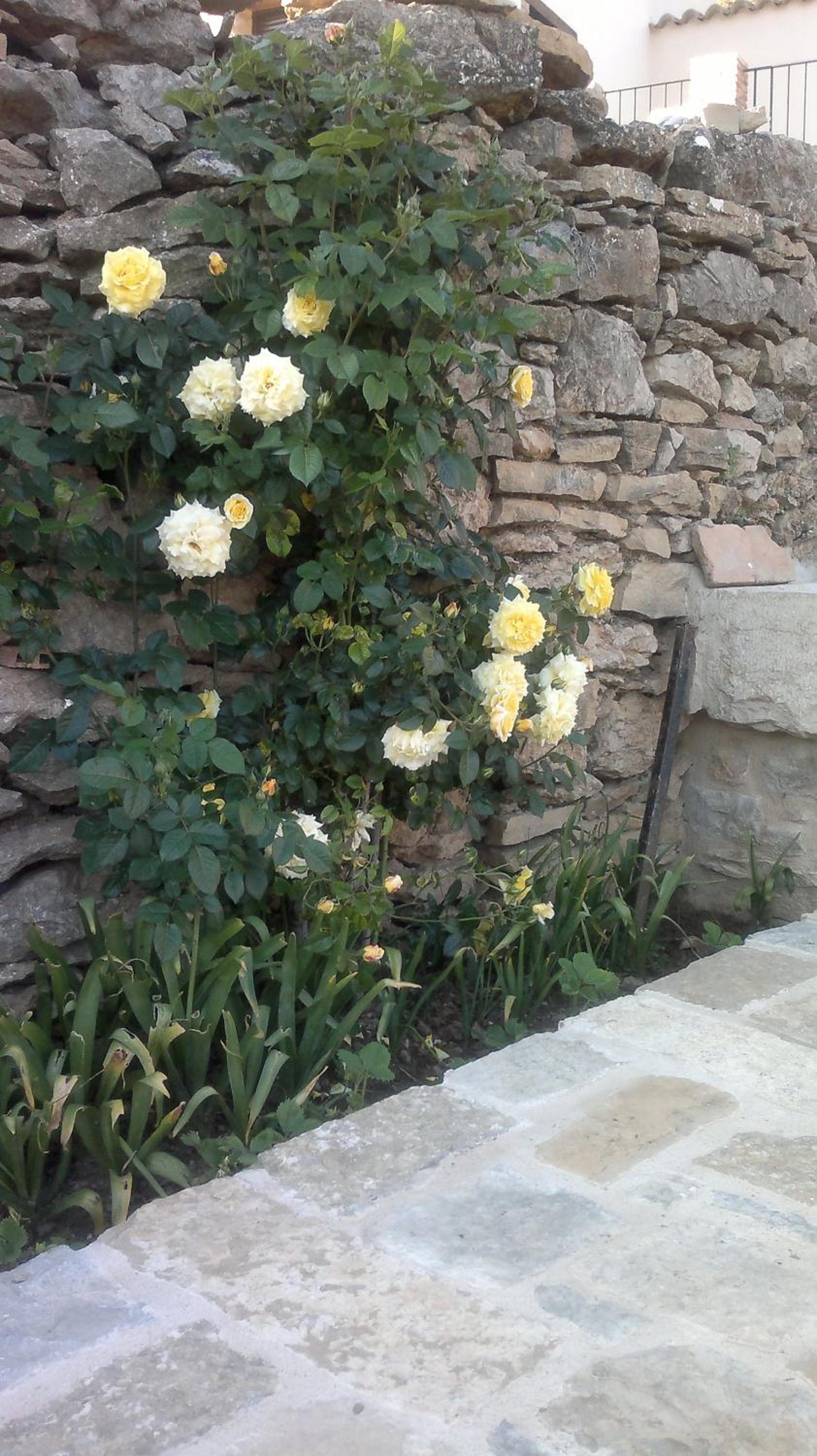 Casa Rural Caseta de l' Hort
