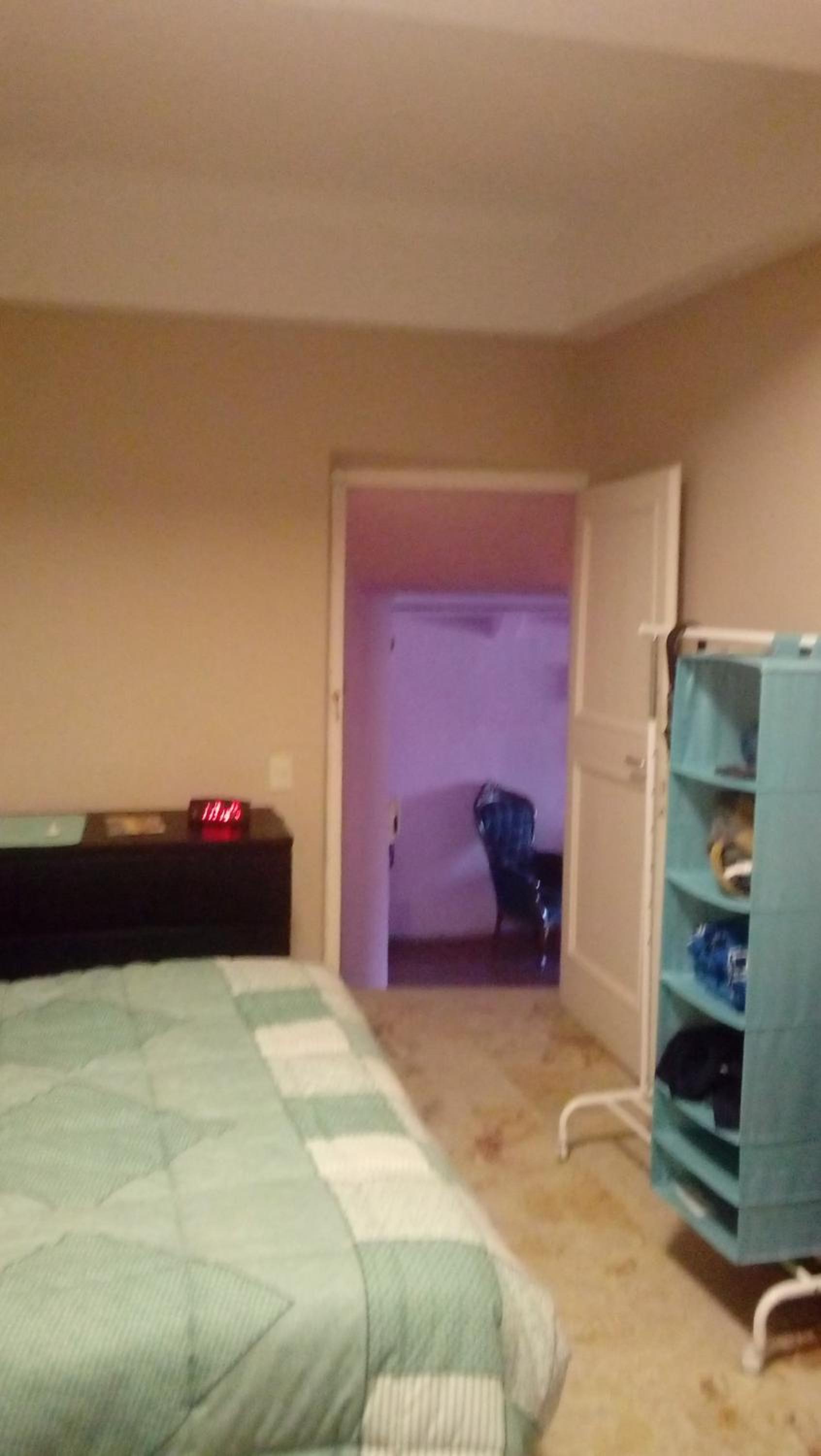 Photo 39