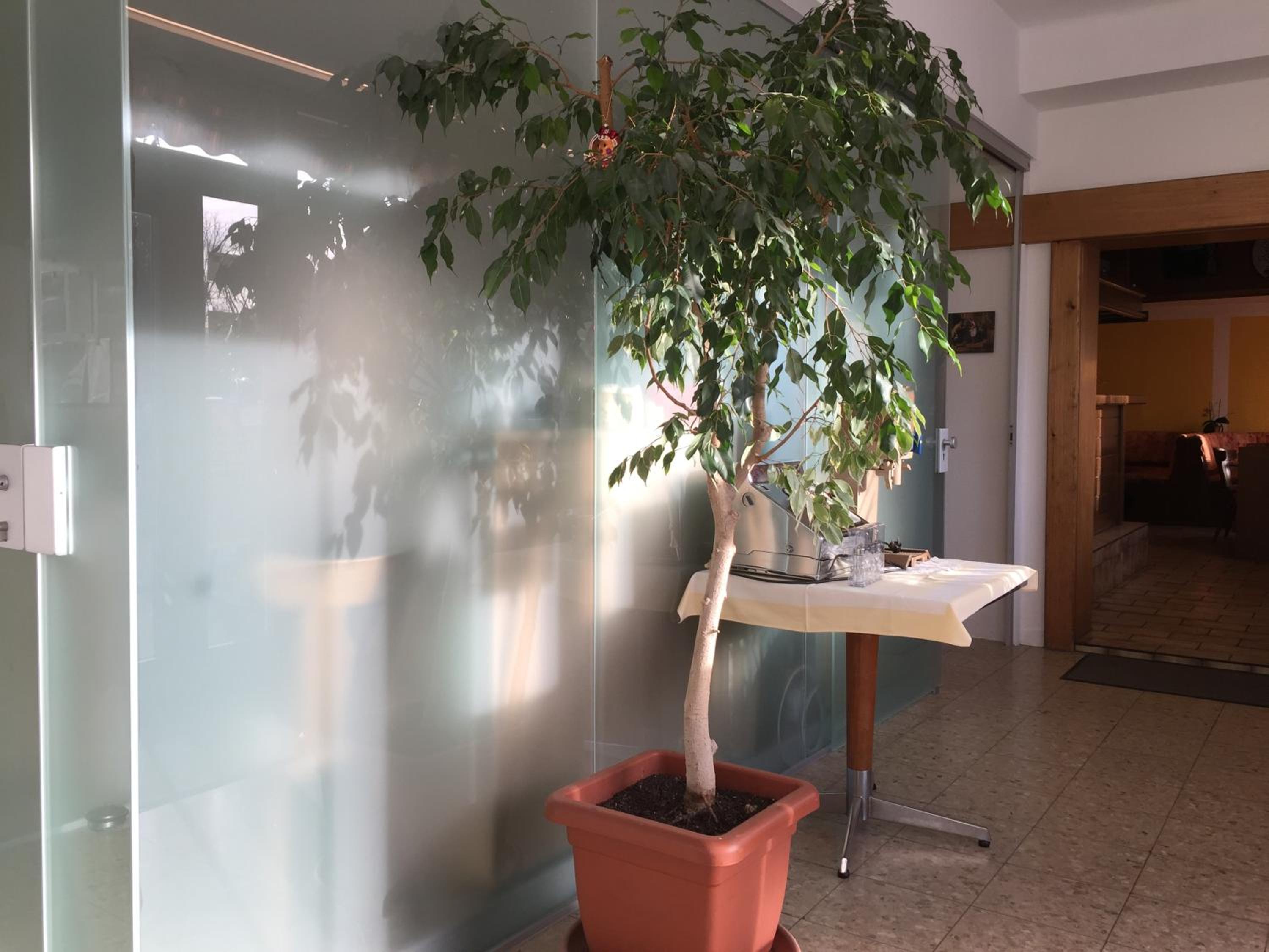 Pension Wachter