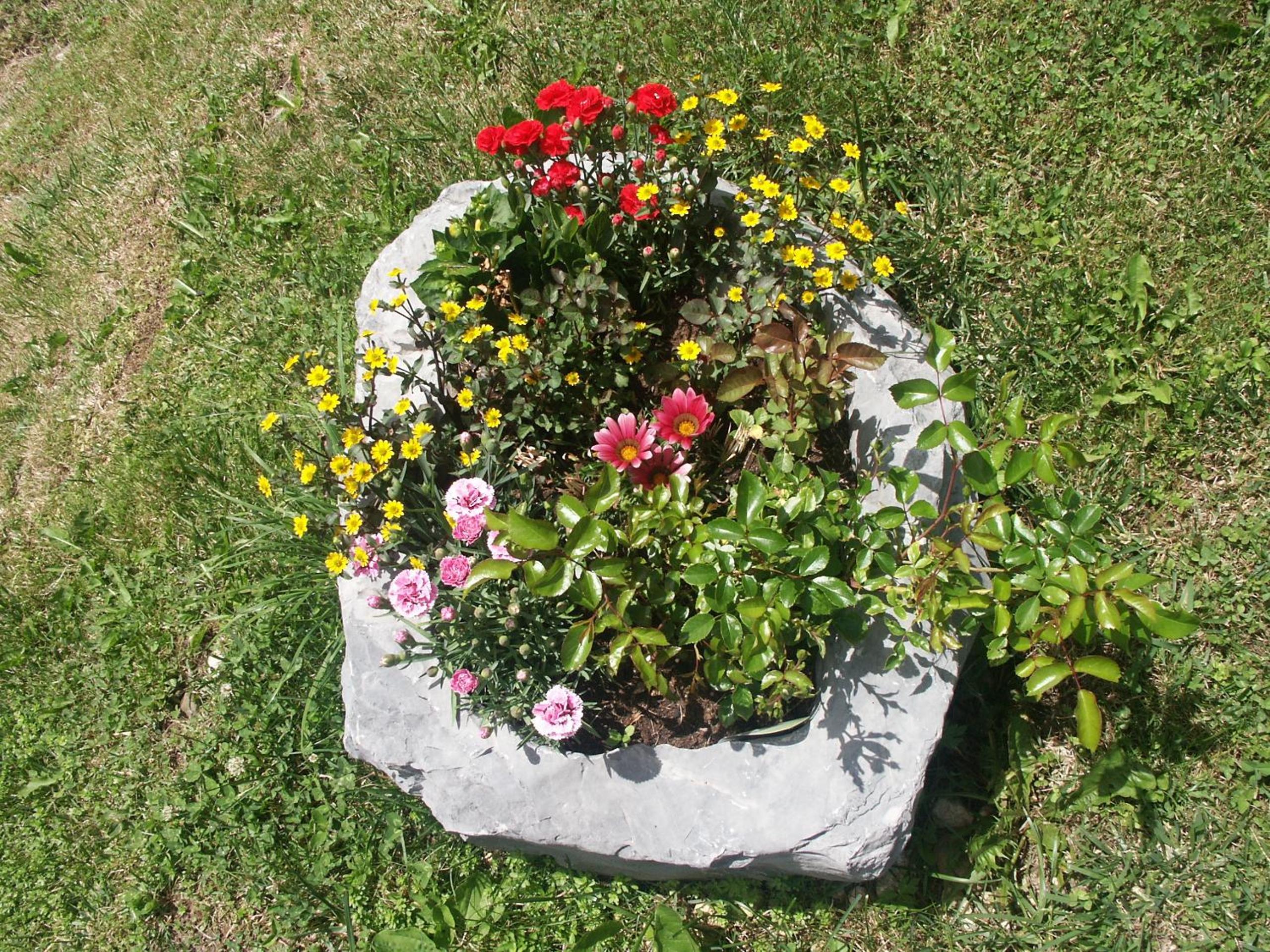 Photo 16