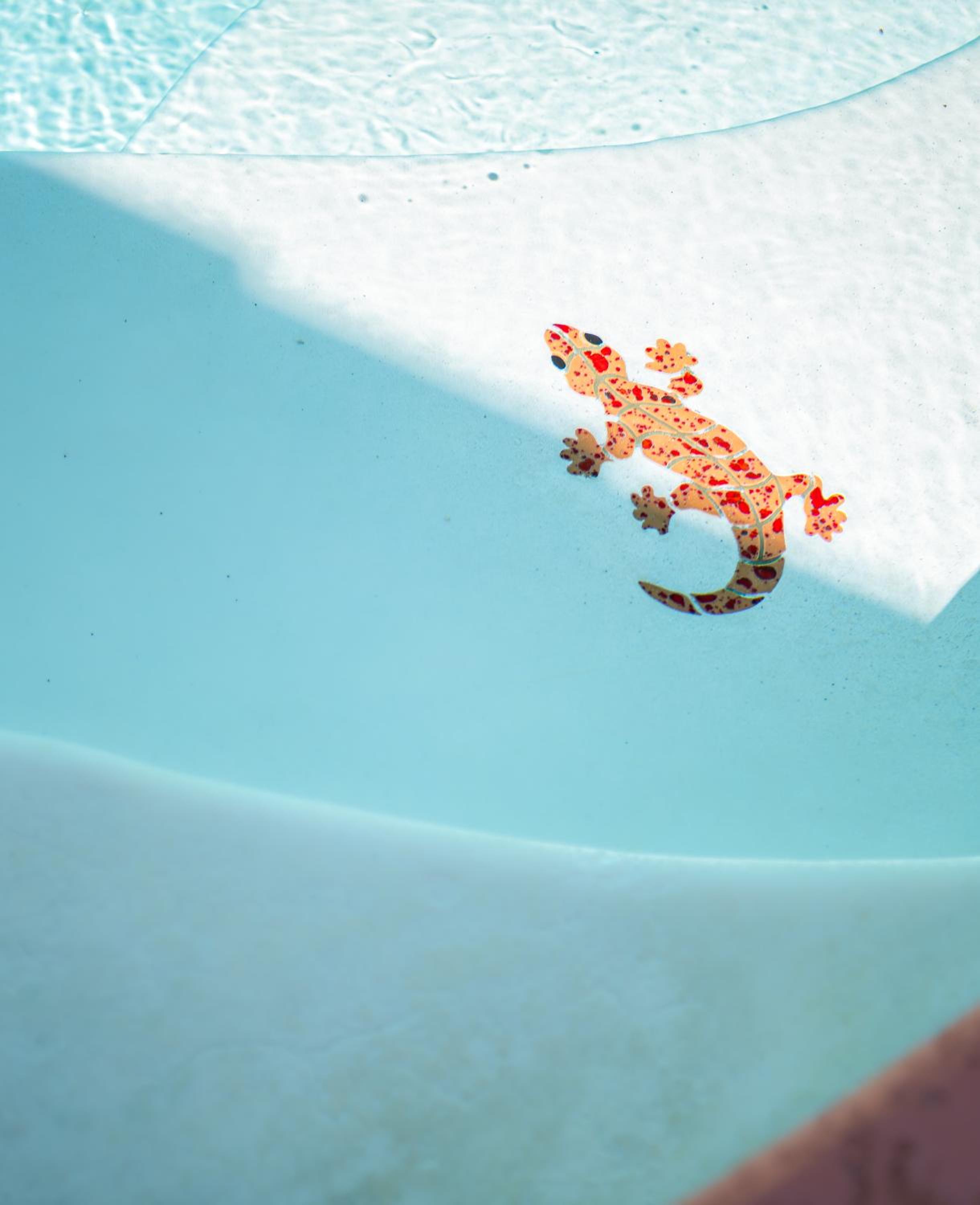 Karsten Maricopa, fotografía 2