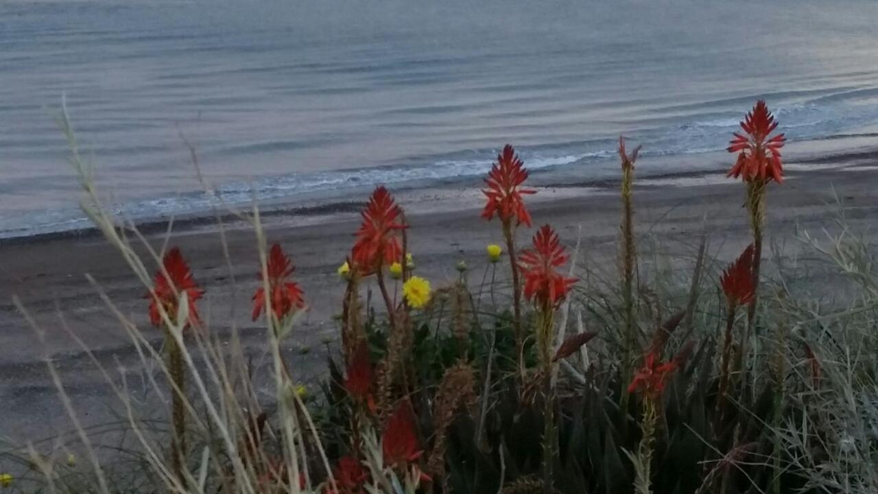 Mareas del Golfo