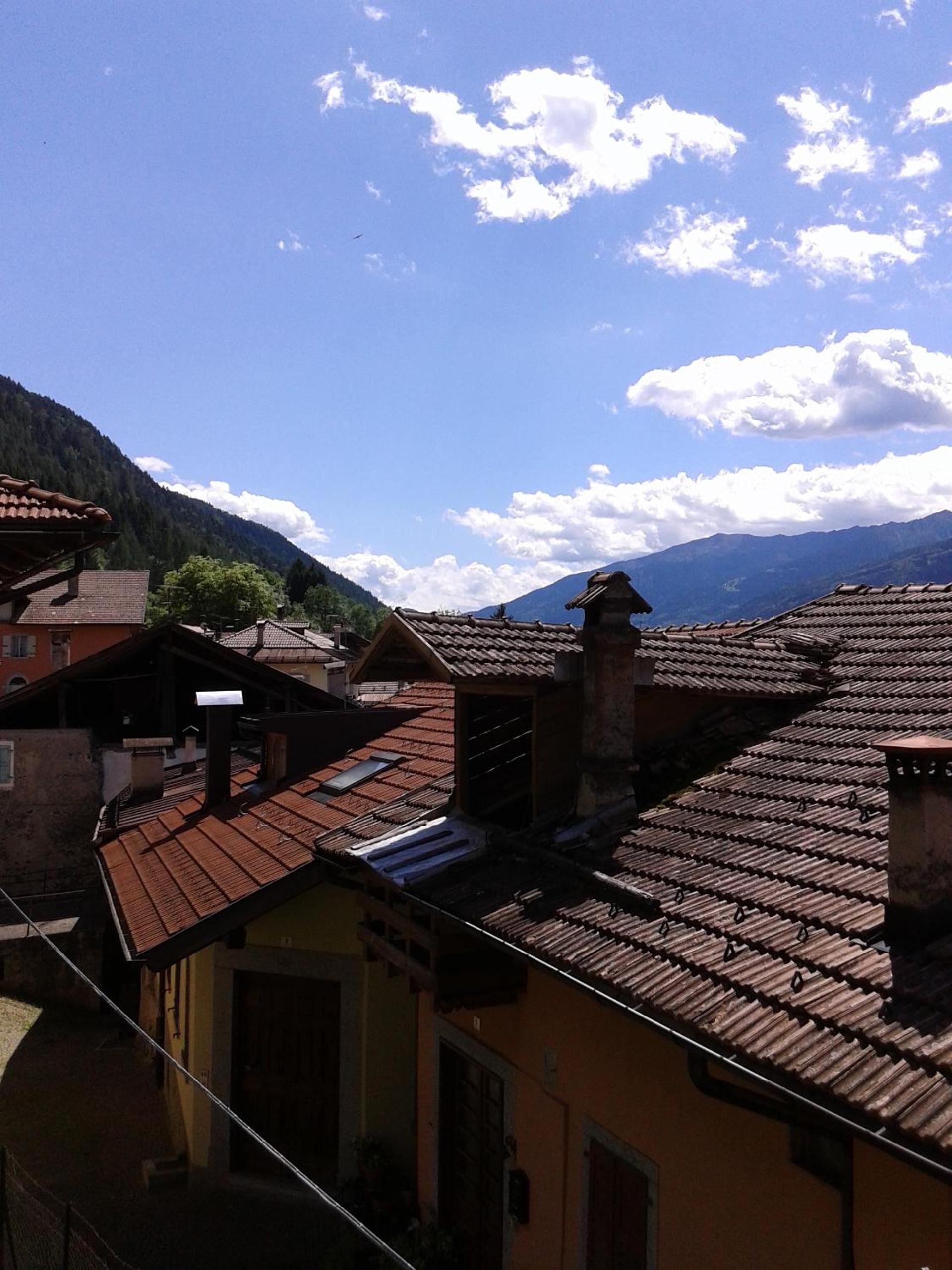 Photo 46