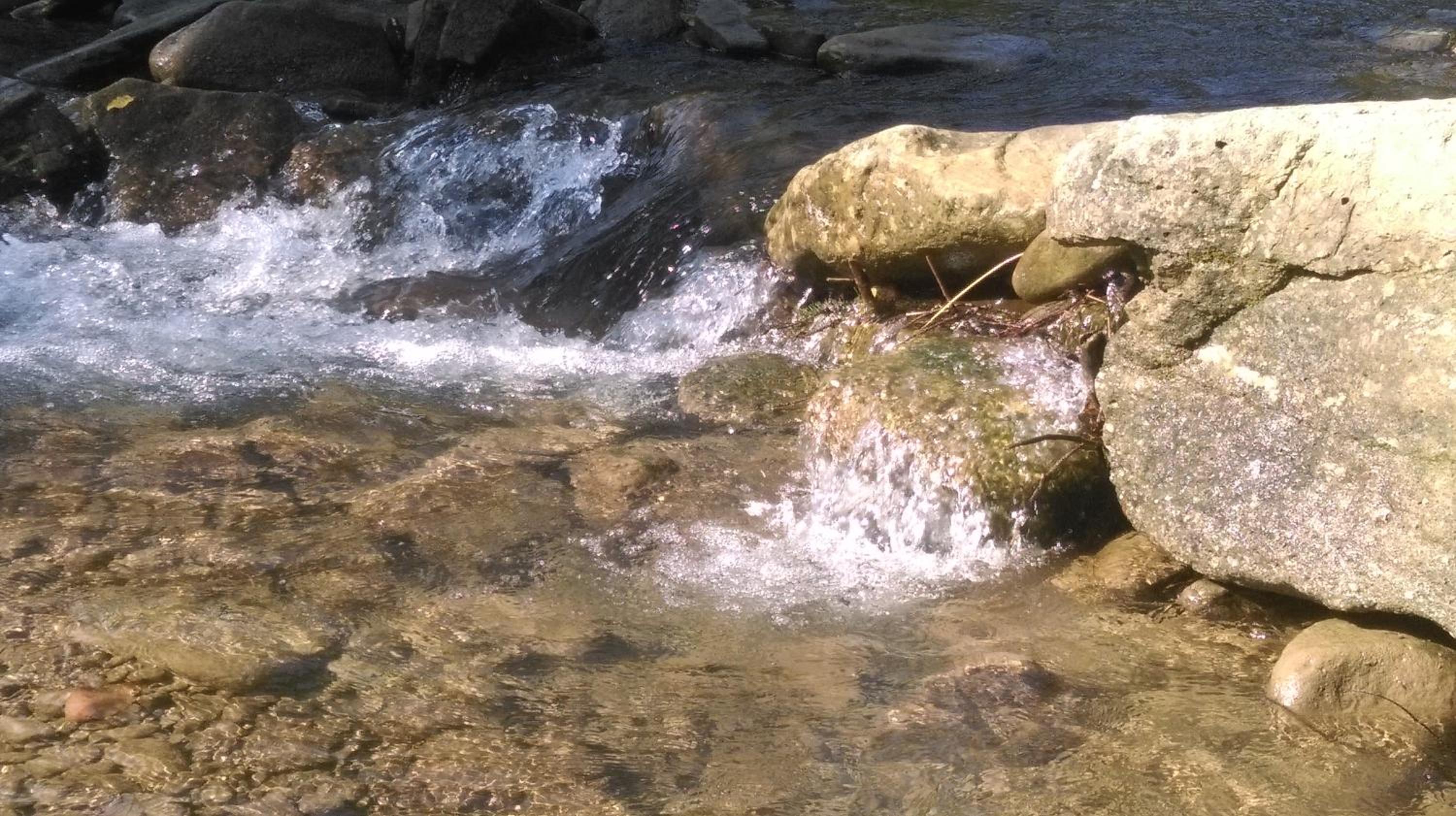 Photo 38