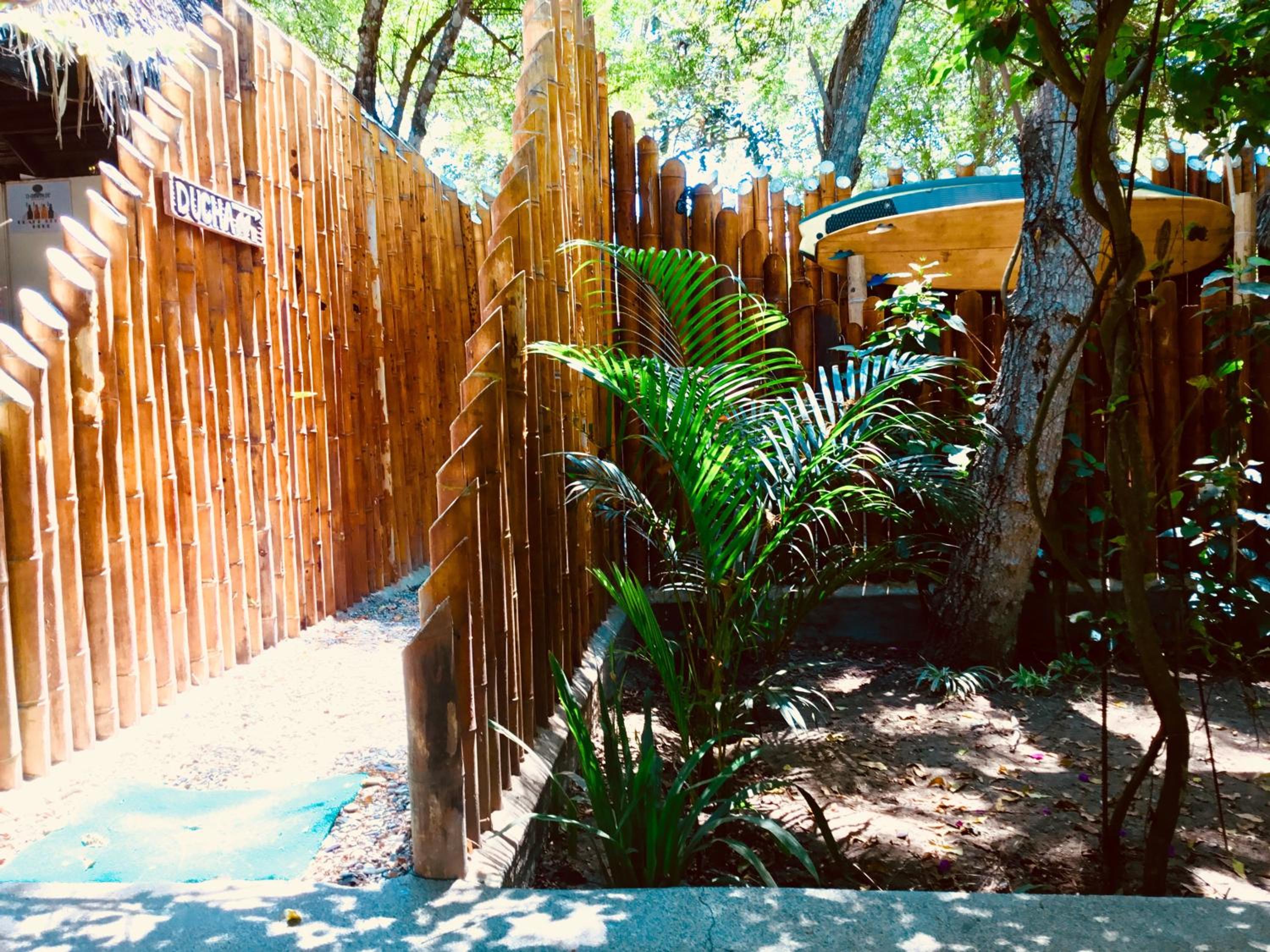 Photo 18