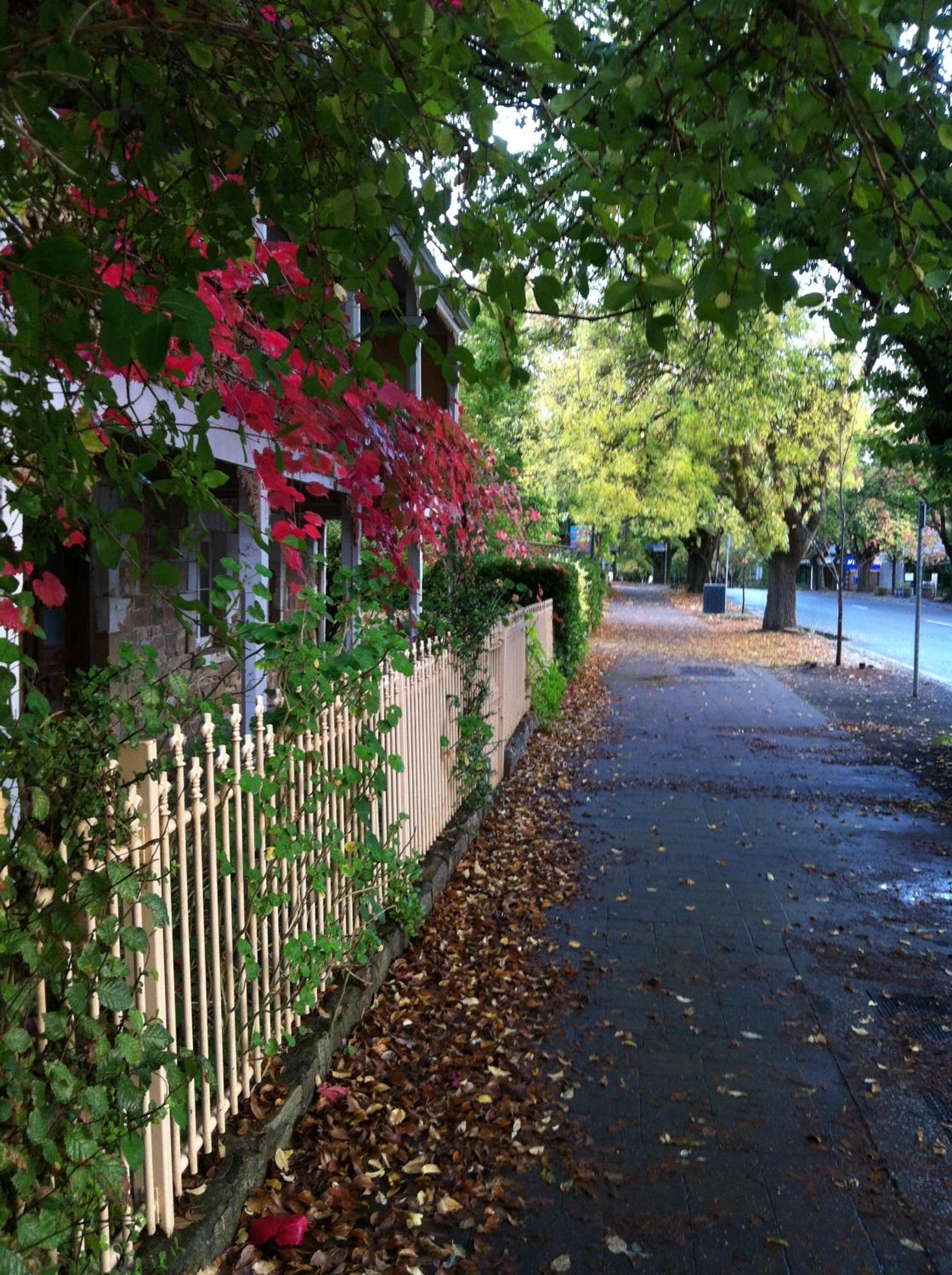 Photo 23