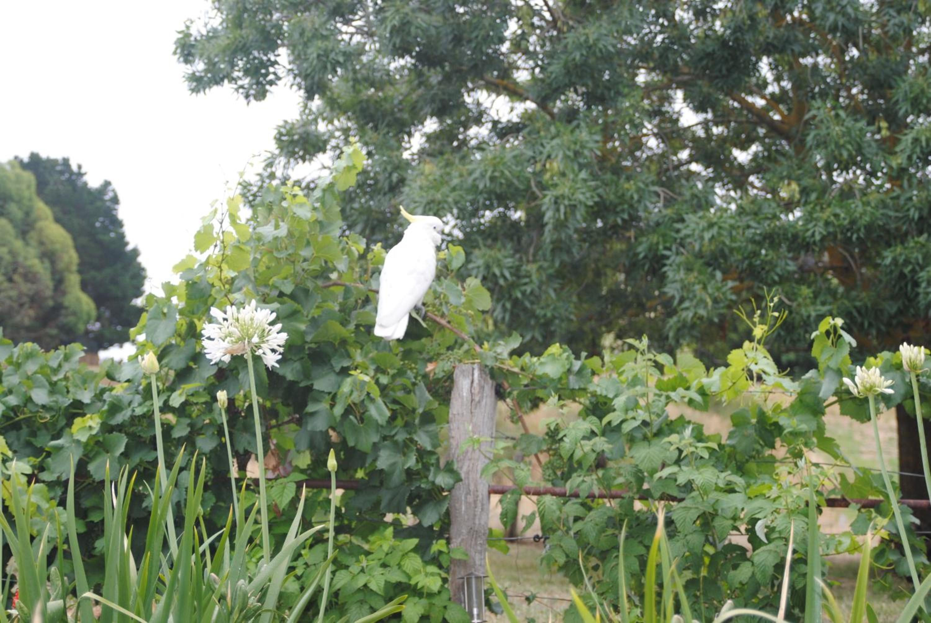 Photo 27