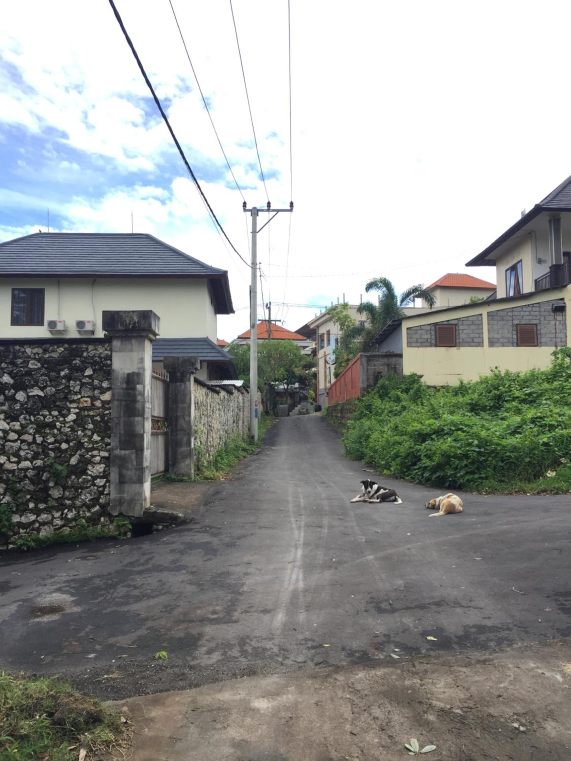 Photo 127