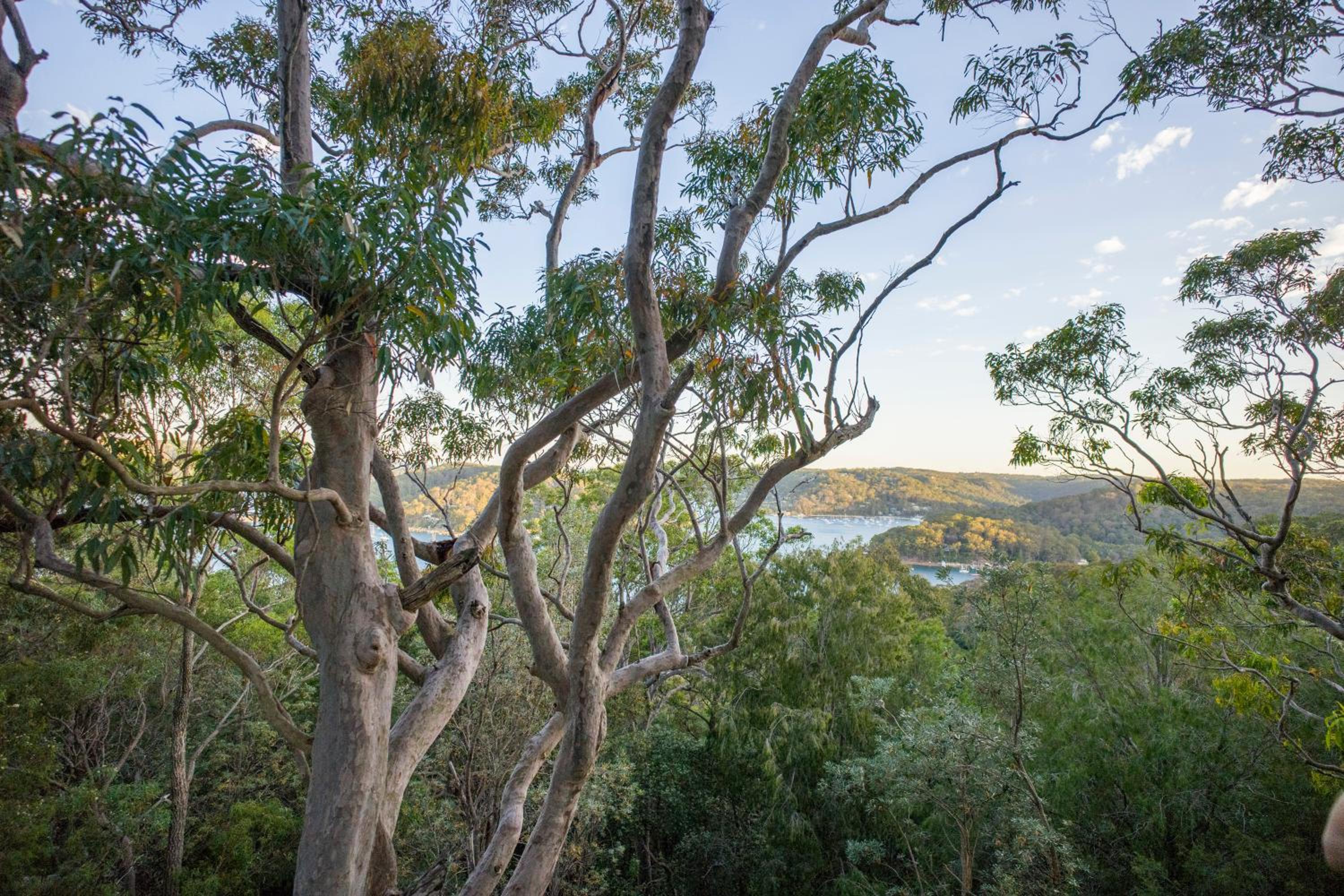 YHA Pittwater Eco, Sydney