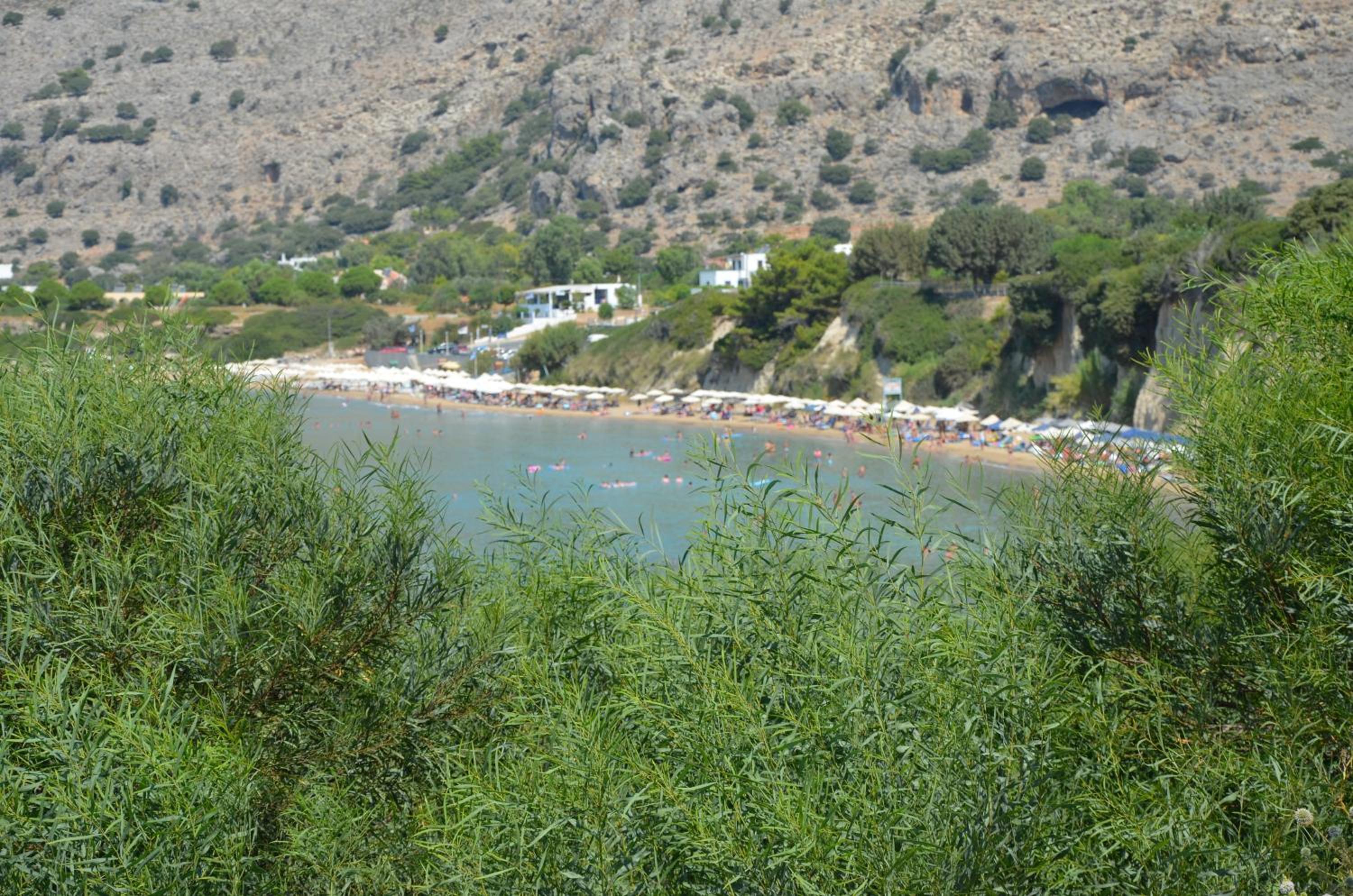 Villa Bellina