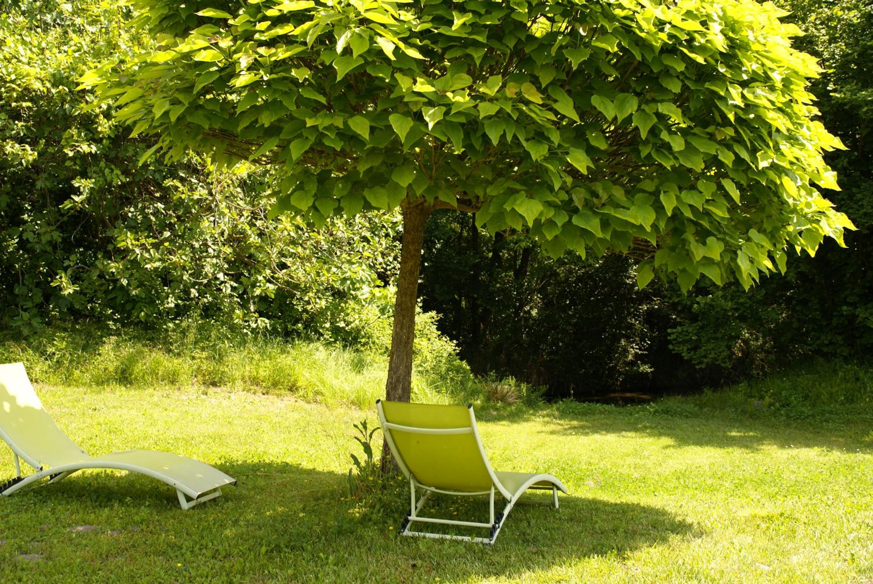 Côté Provence, photo 21