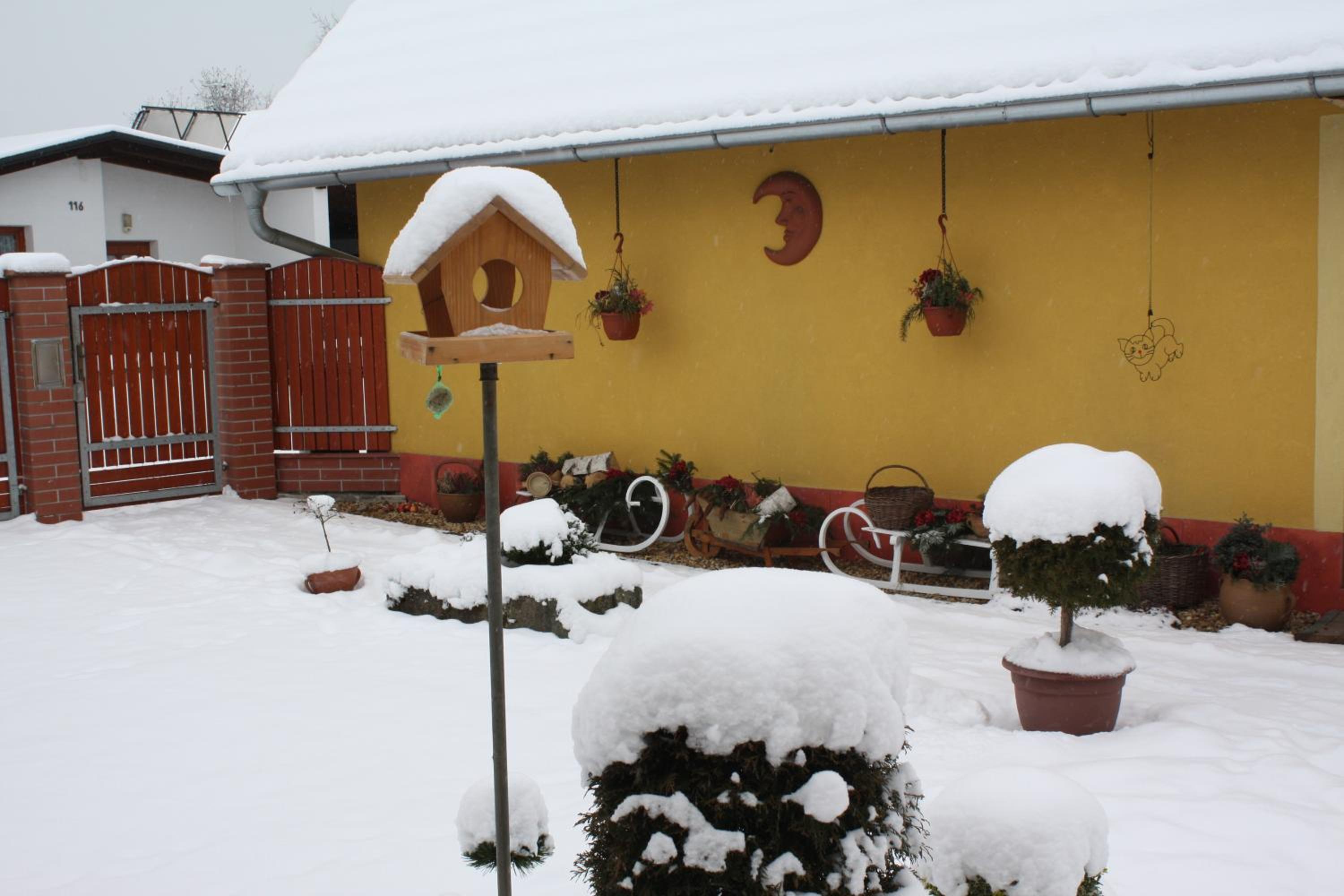 Photo 44