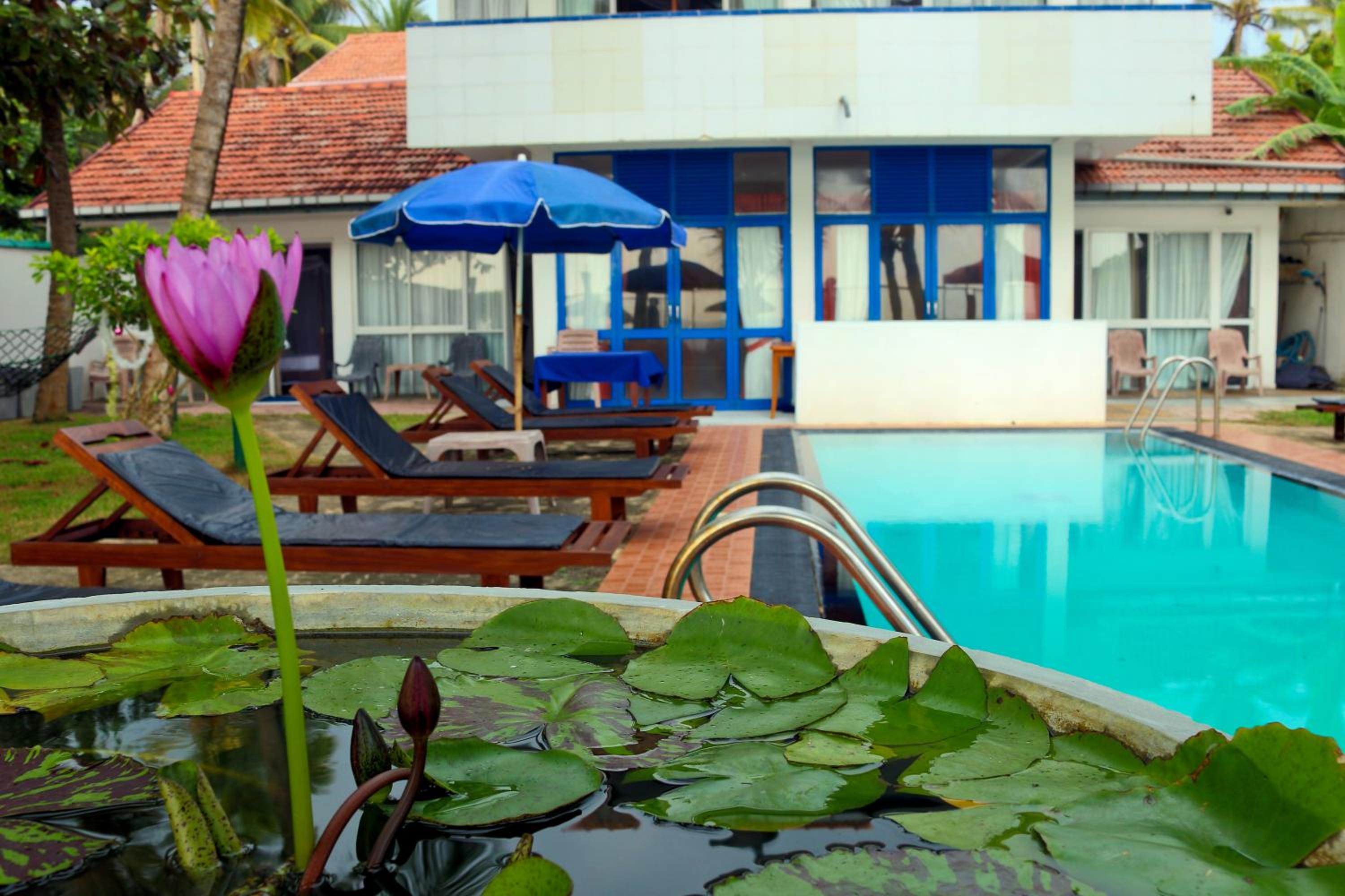 Edelweiss Resort