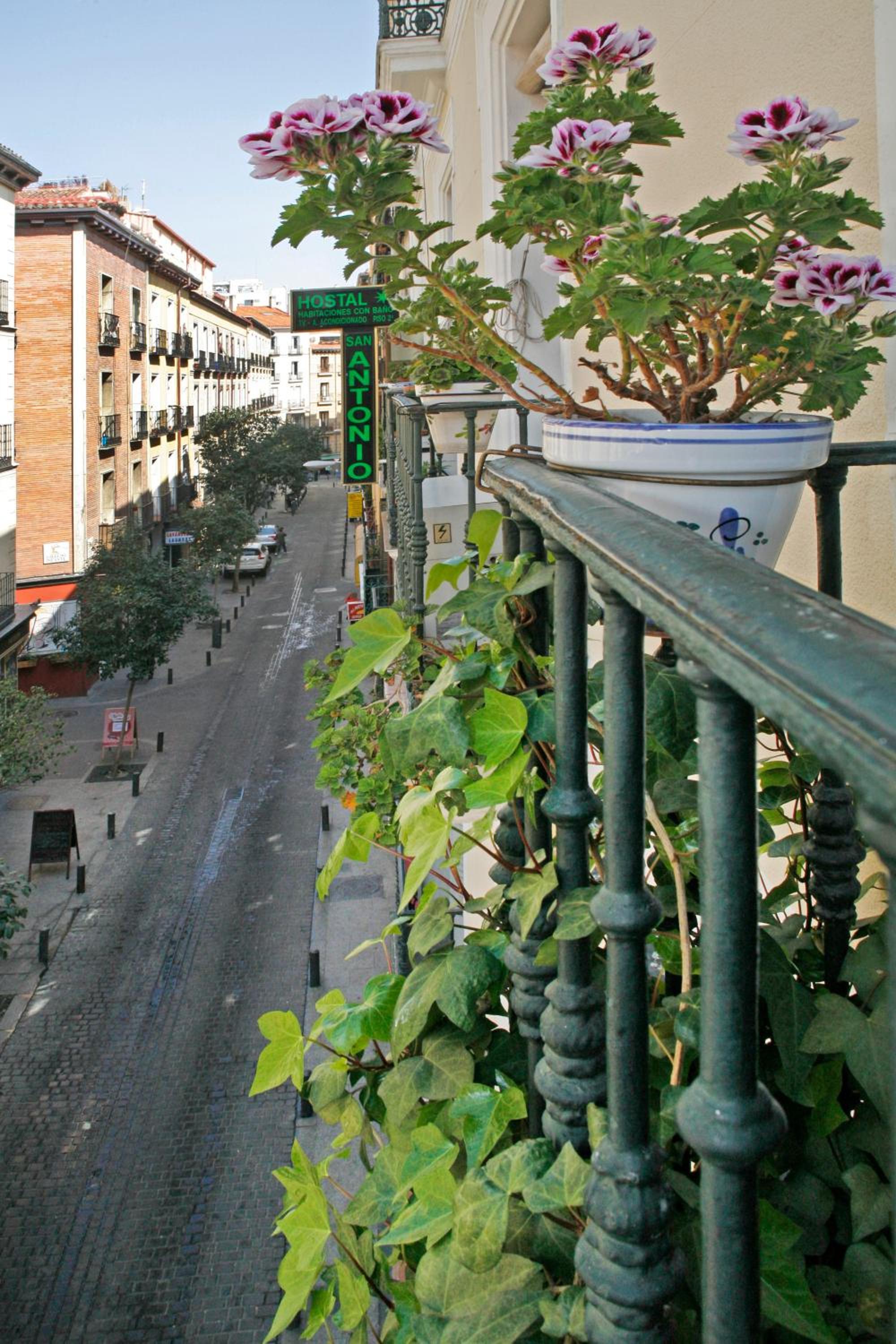 Hostal San Antonio