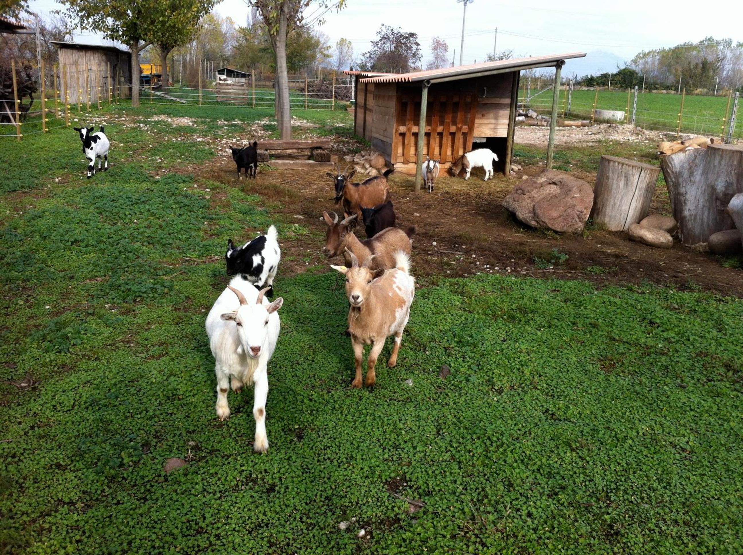 Photo 47
