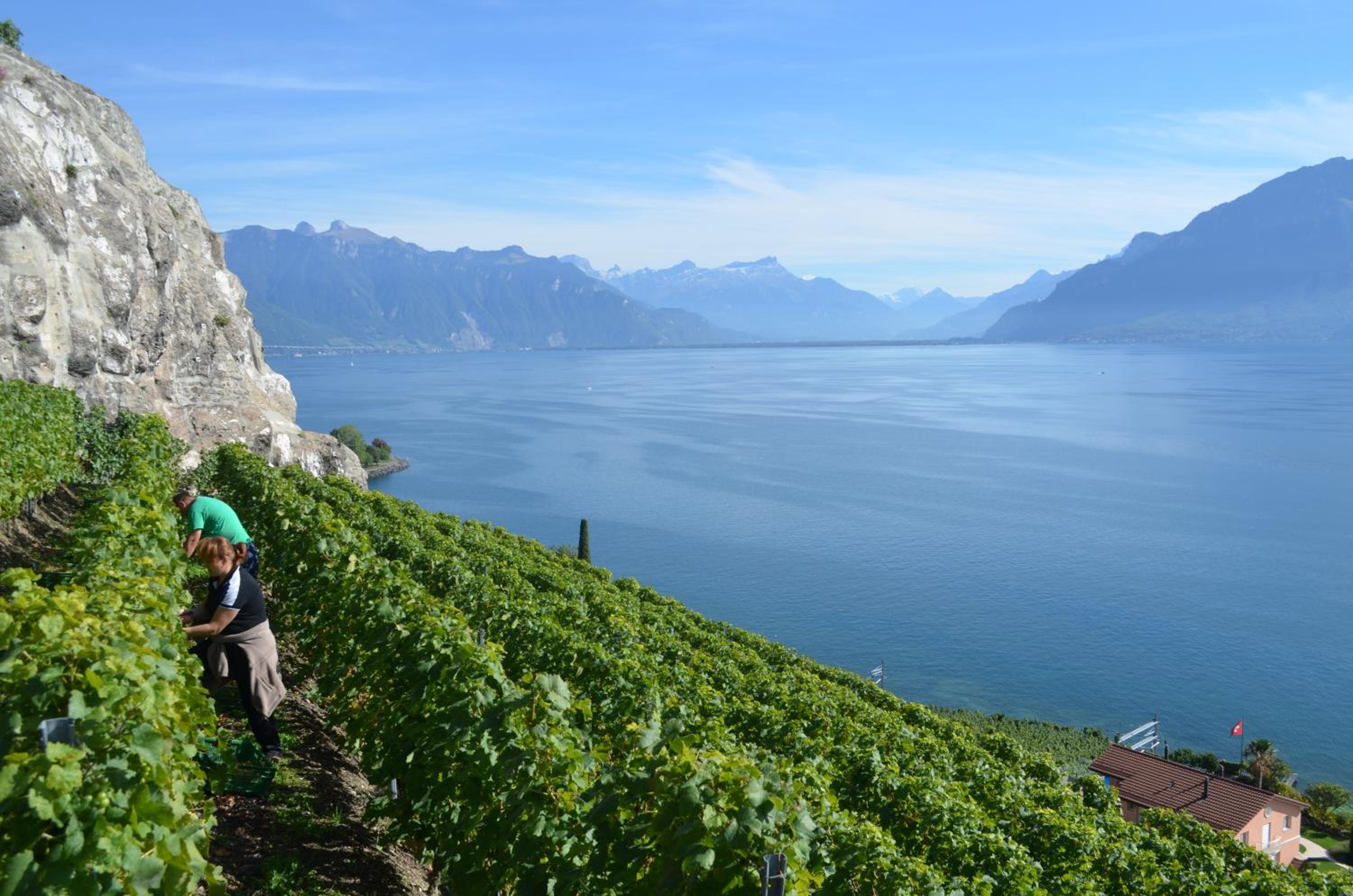 Domaine du Burignon