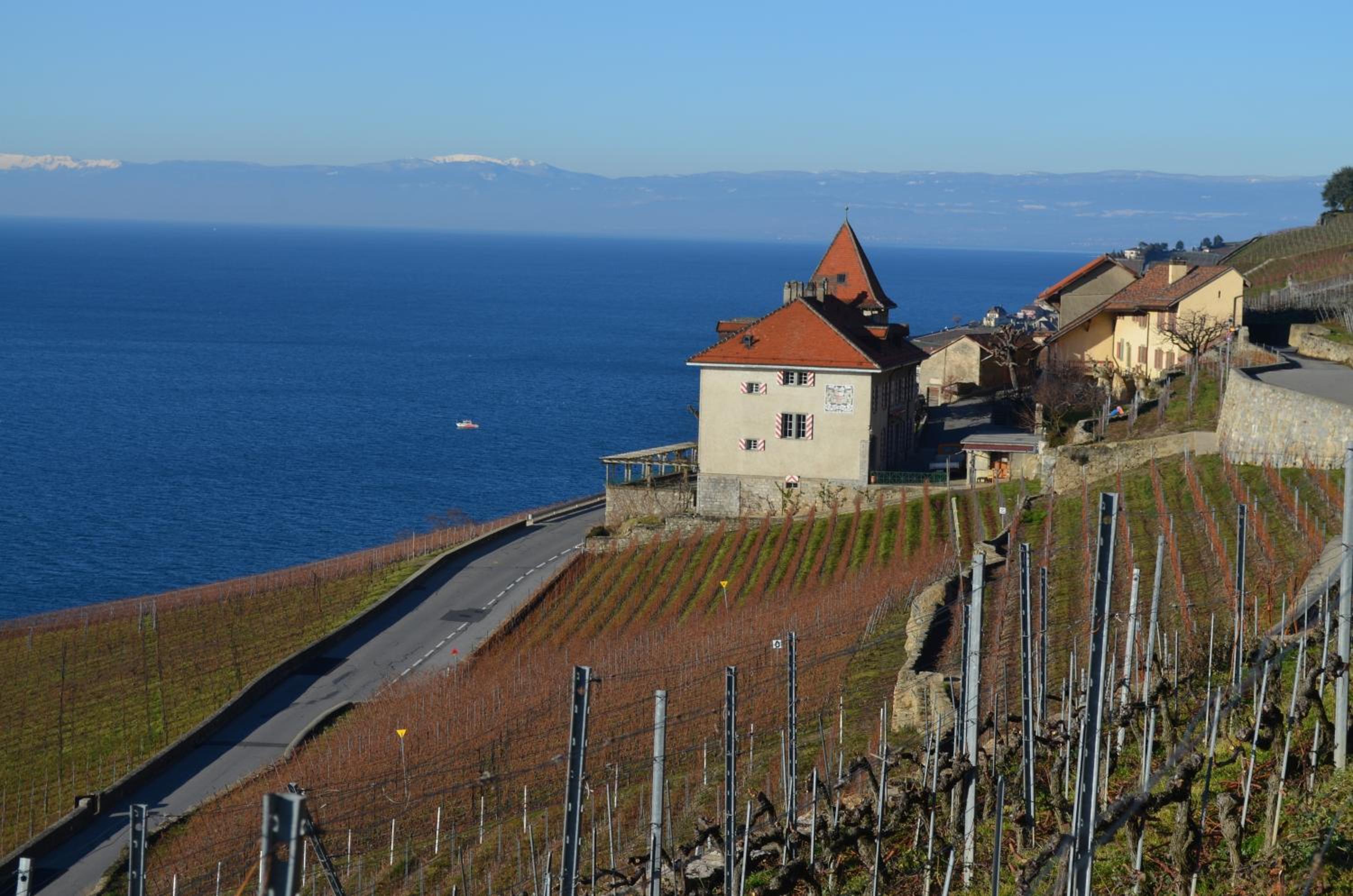 Domaine du Burignon