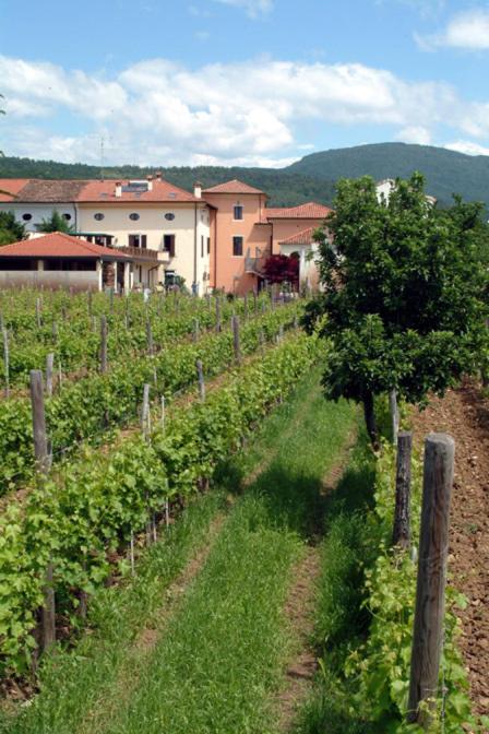 Agriturismo Grillo Iole Winery