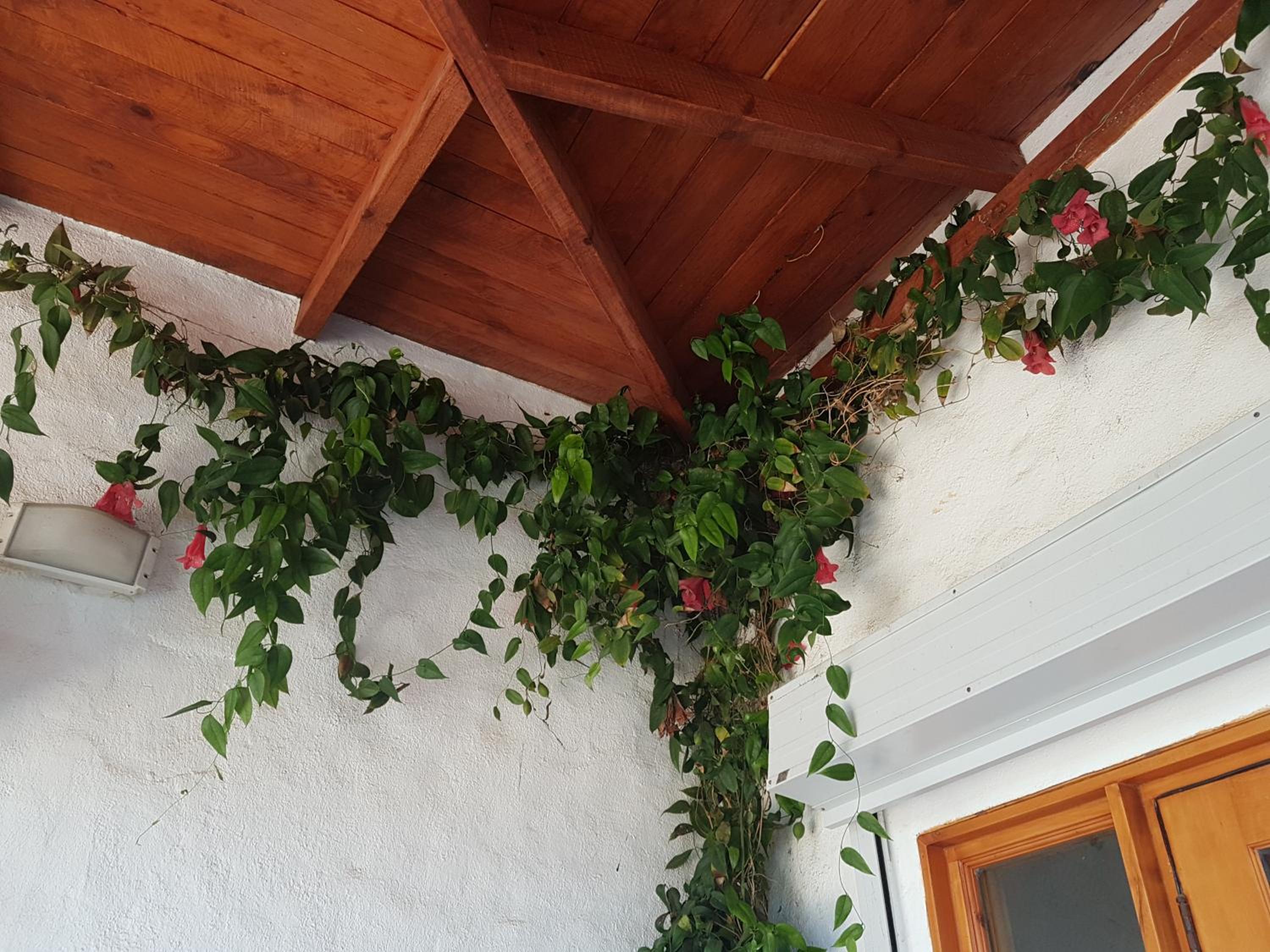 Casa Algarrobo Chile