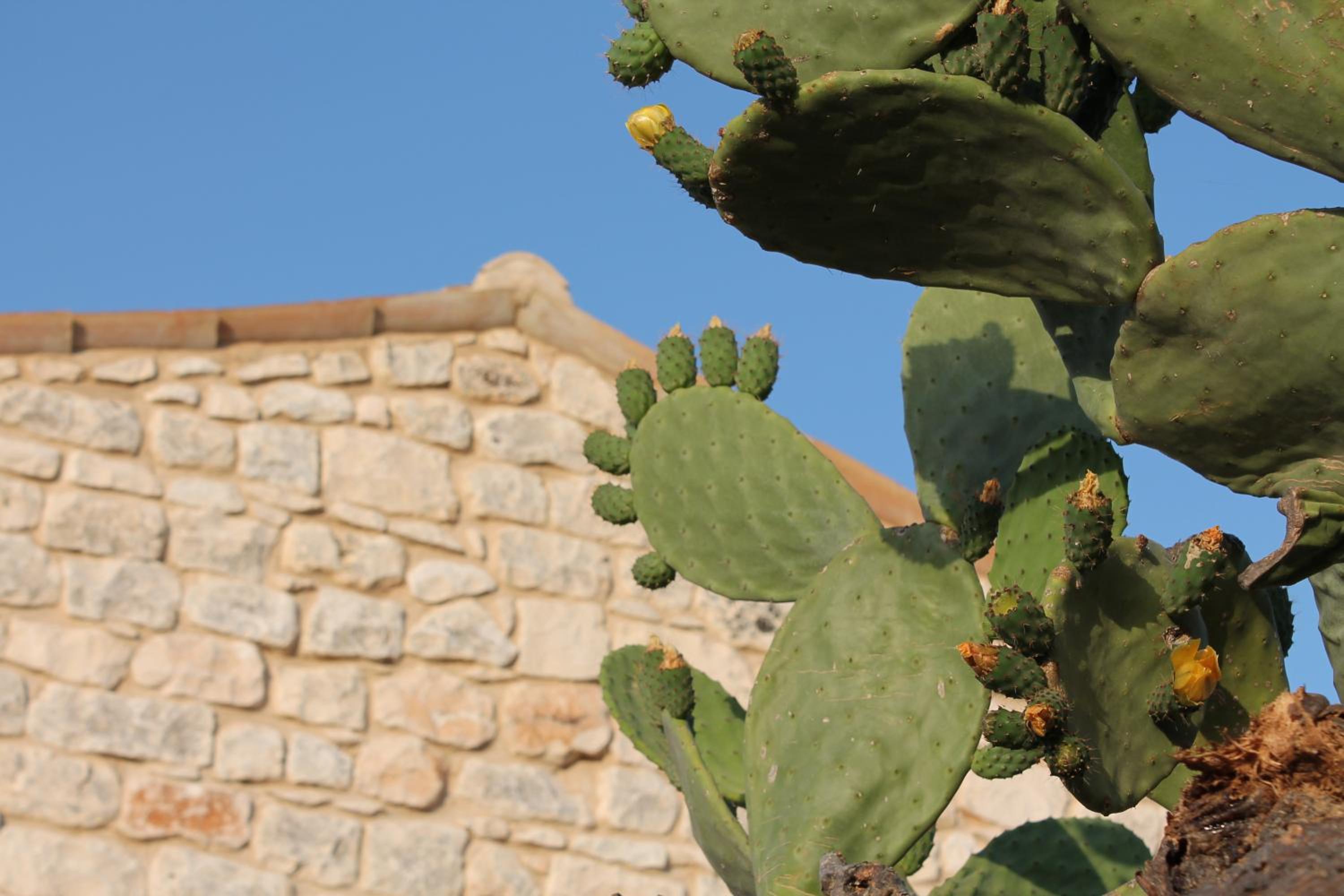 Tenuta Zannafondo