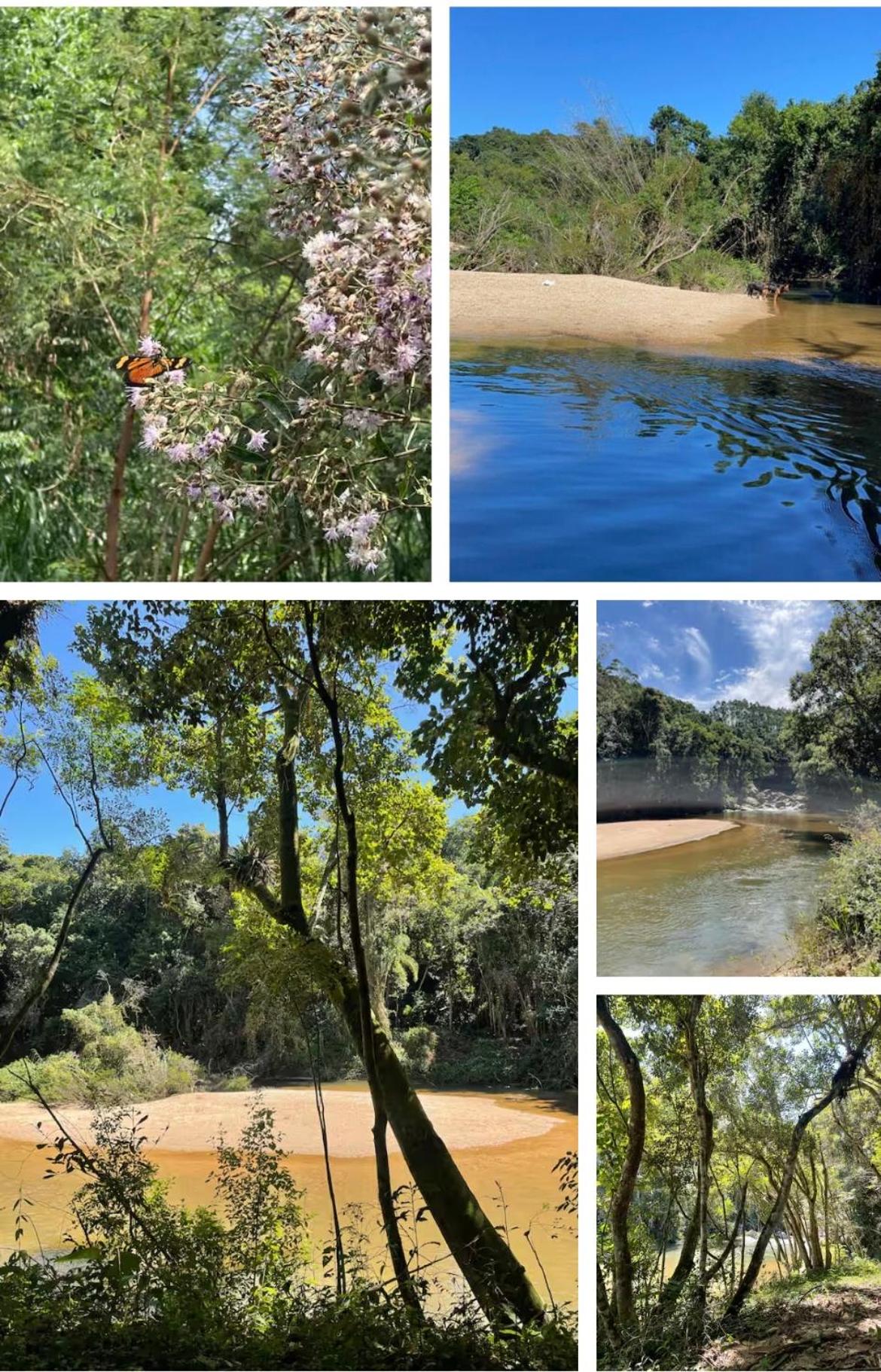 Sítio em São Bonifácio
